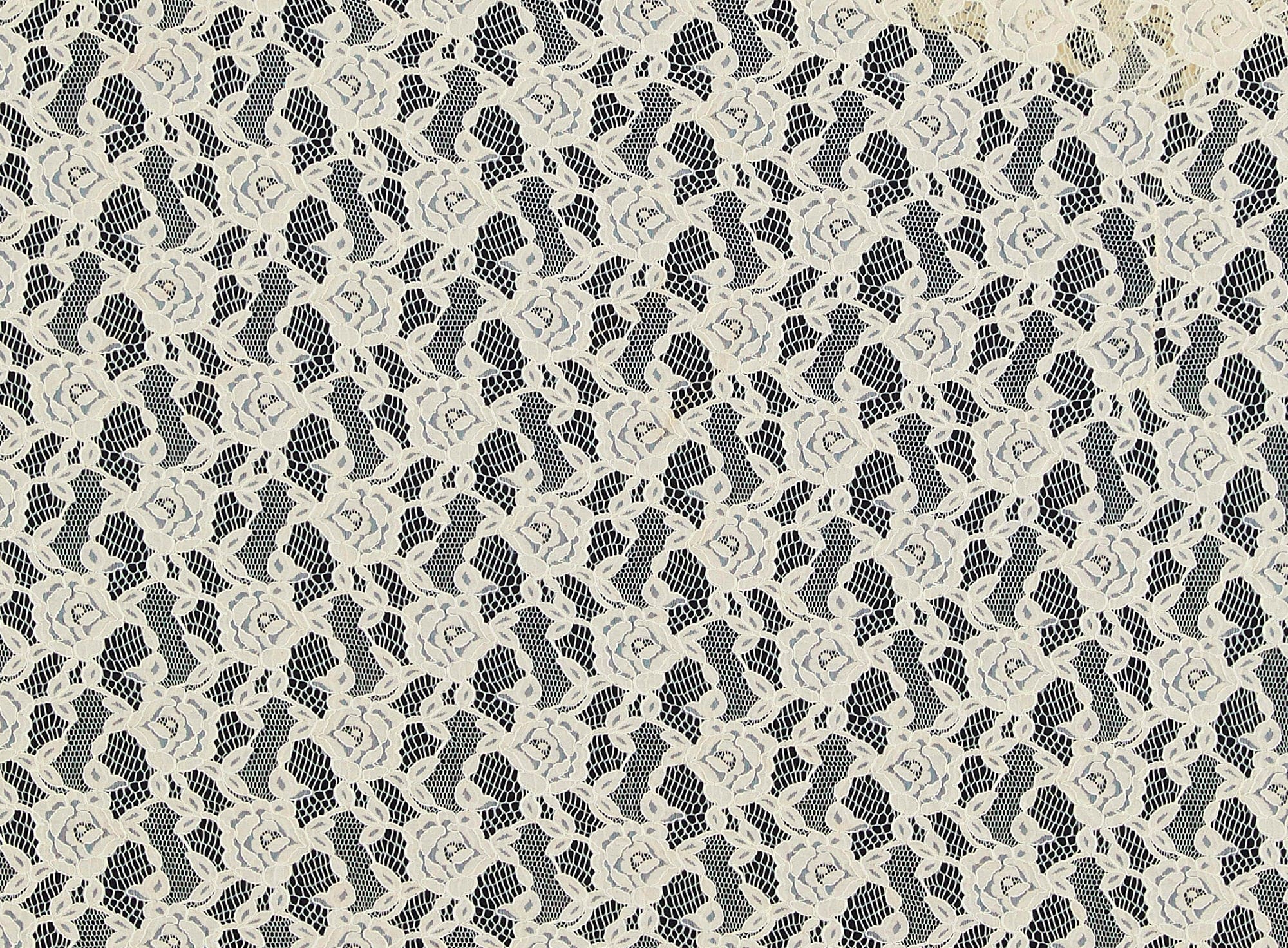 #color_211 CREAM