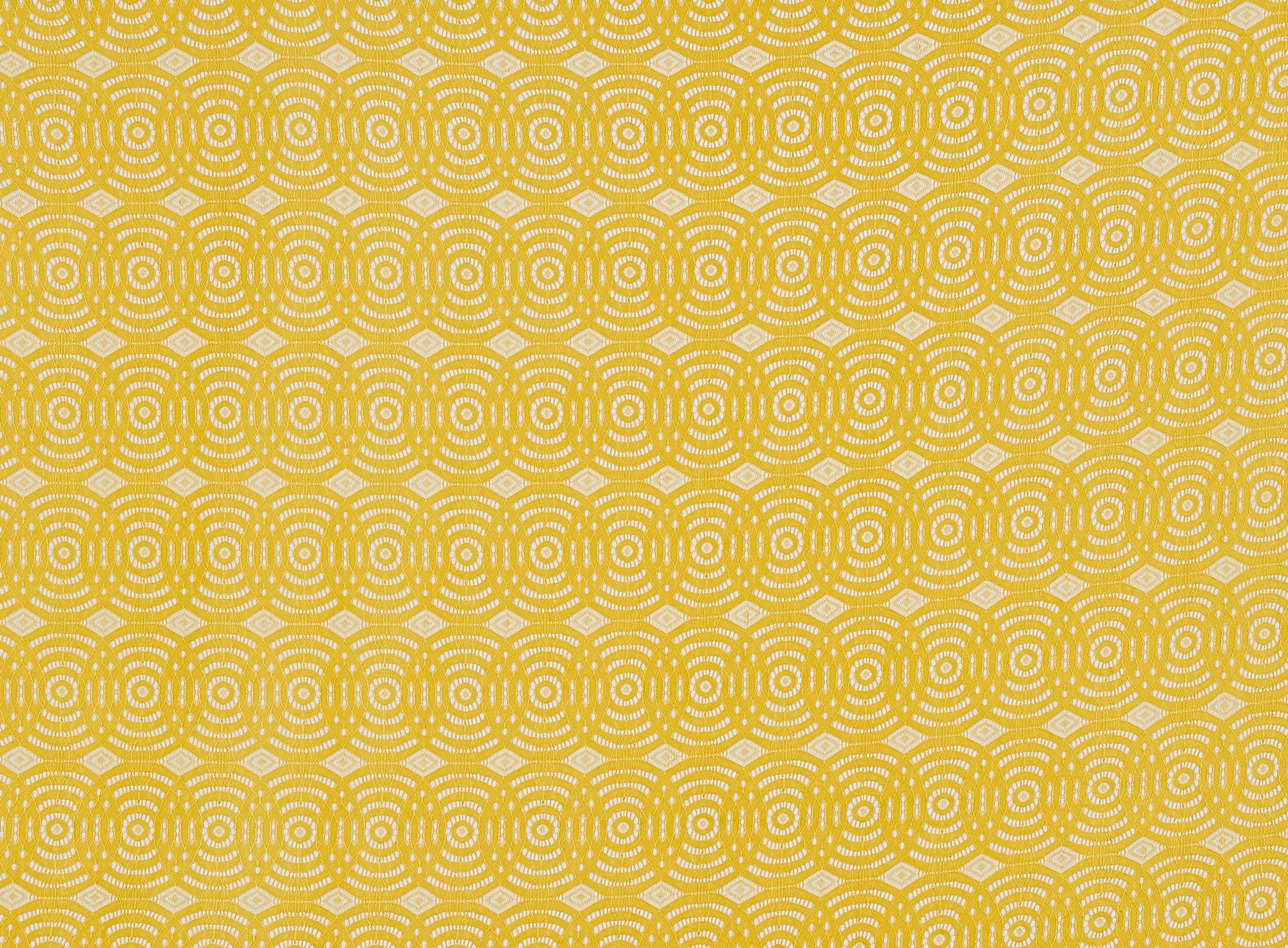 #color_525 GOLDEN ROAD