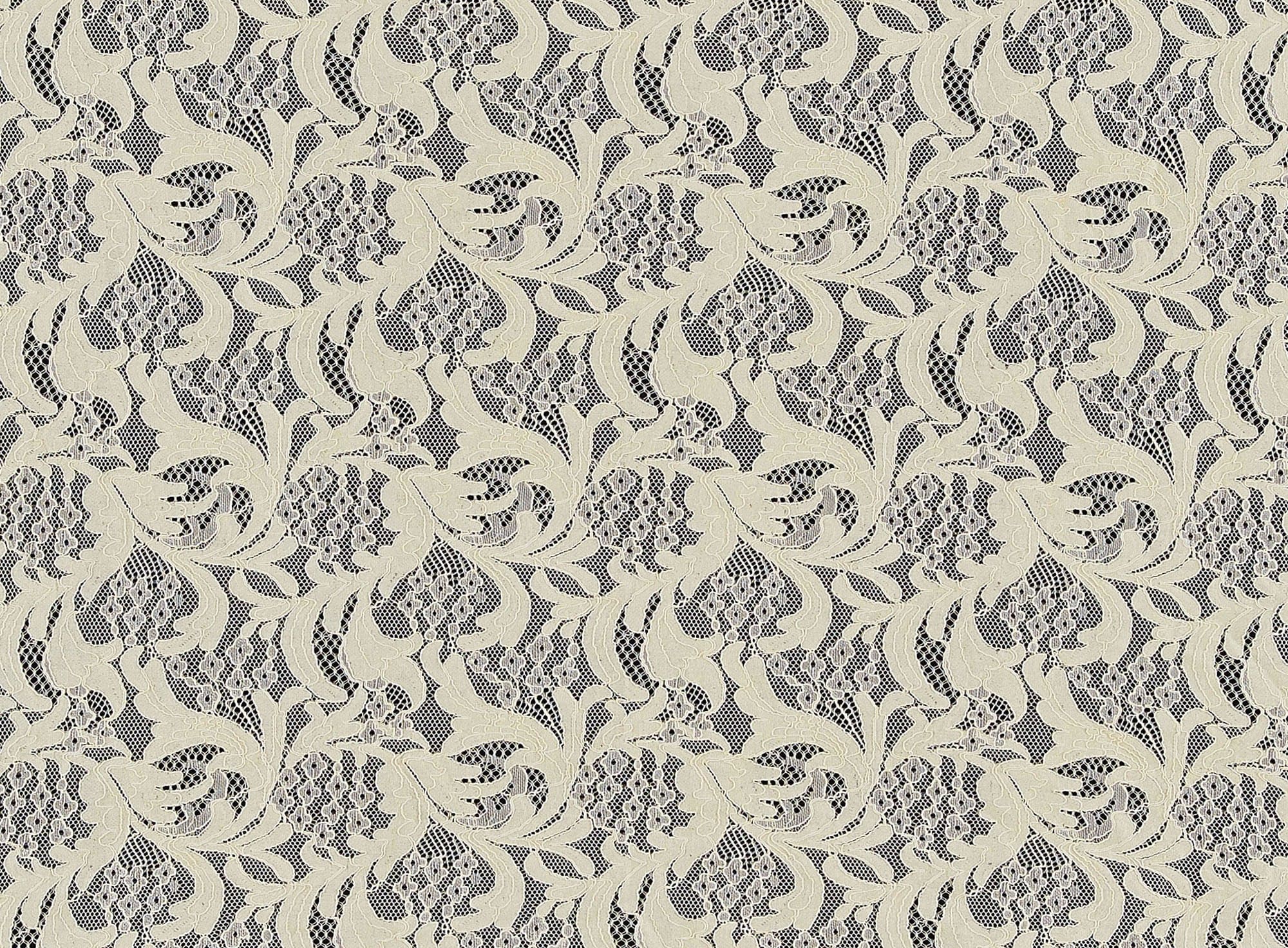 #color_211 CREAM