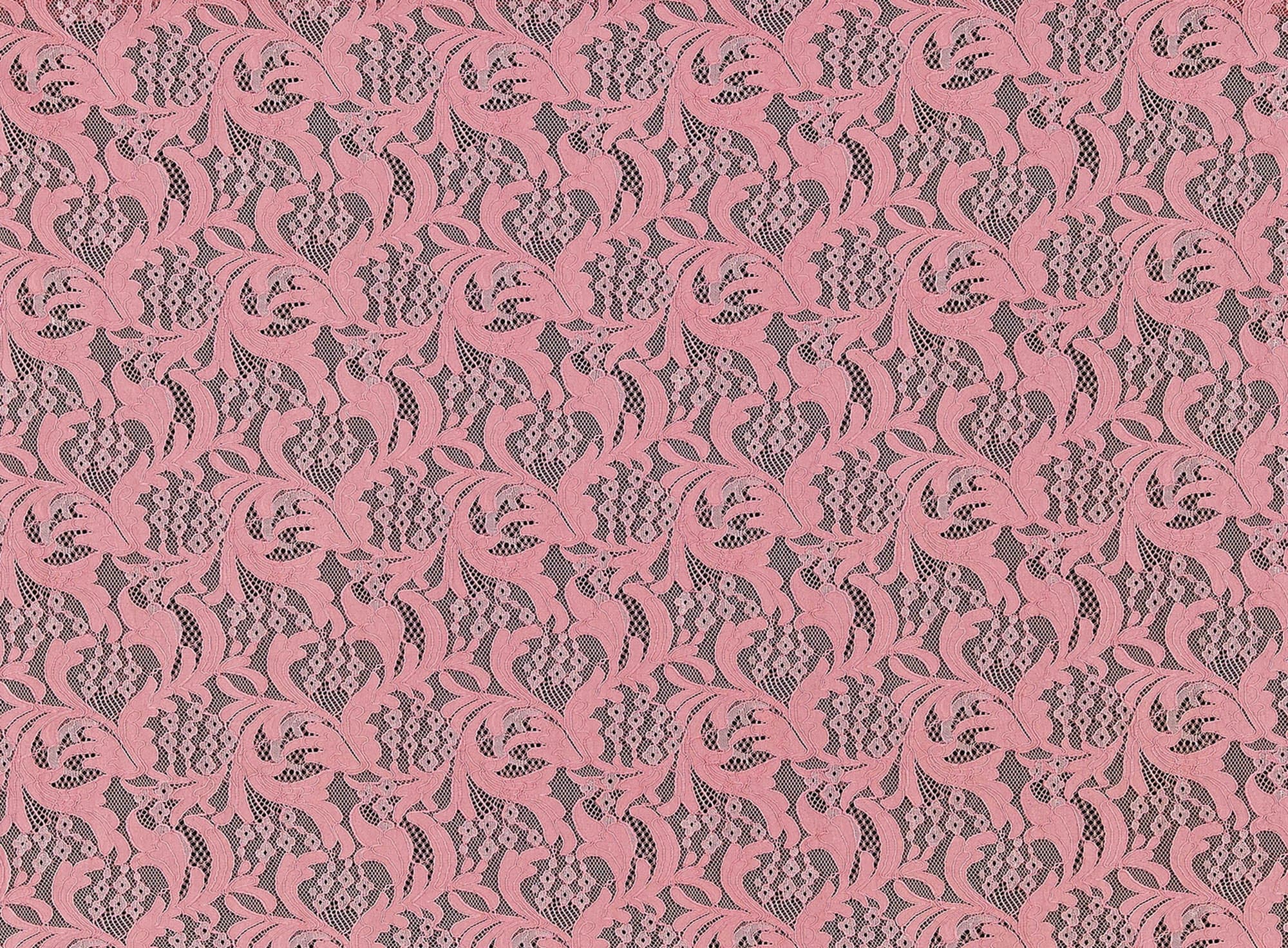 #color_313 BLUSH