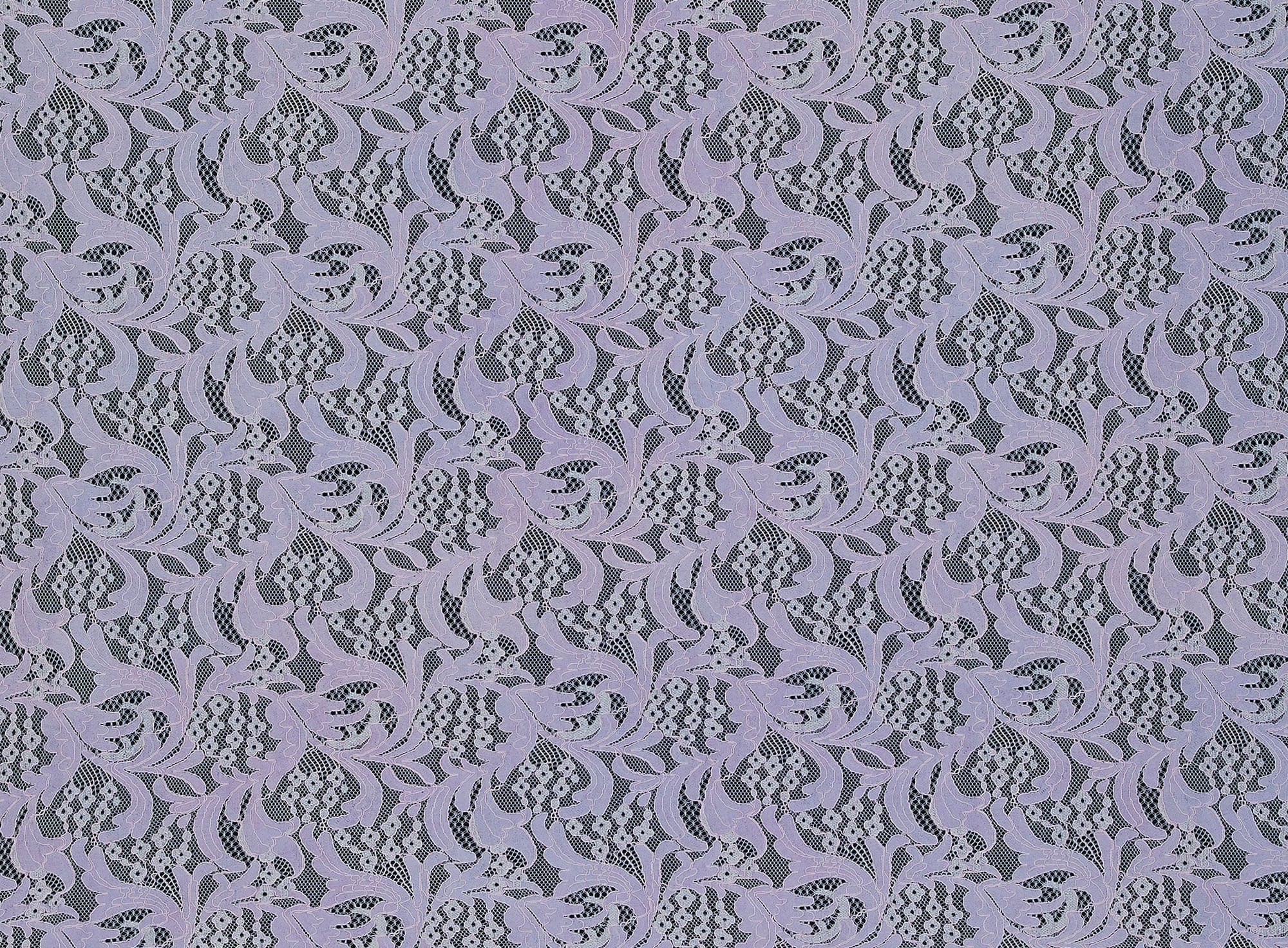 #color_404 BLUE DOVE