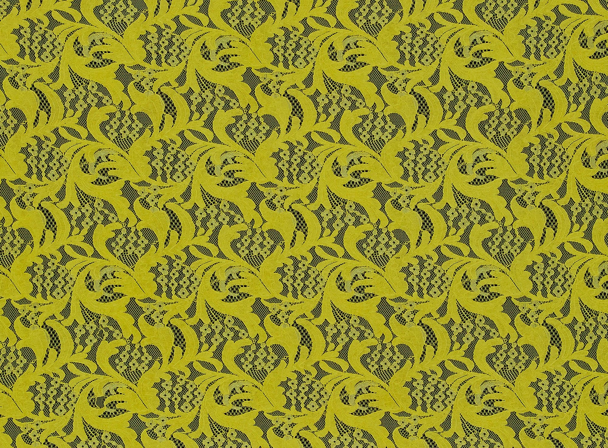 #color_515 GOLDFINCH