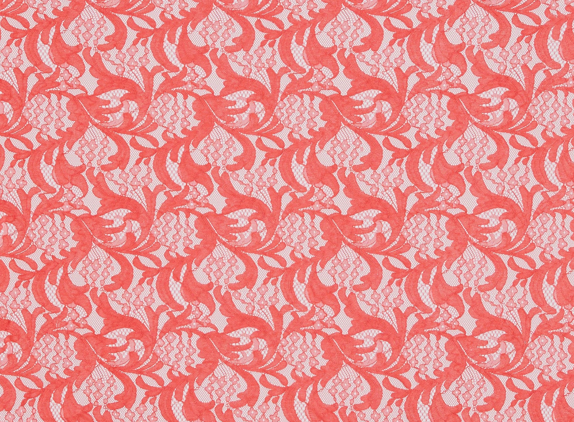#color_CORAL LILY