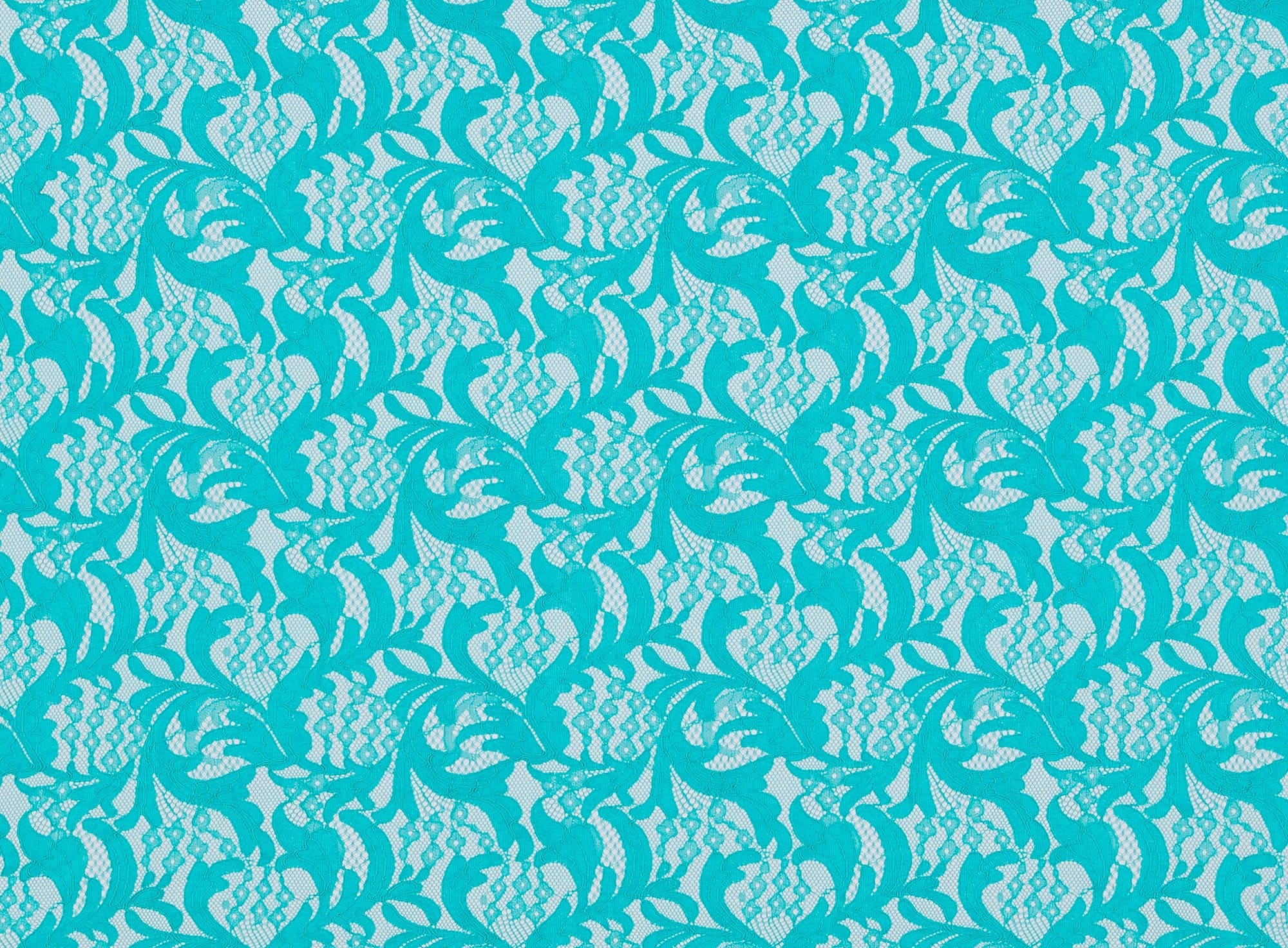 #color_PAP LILY