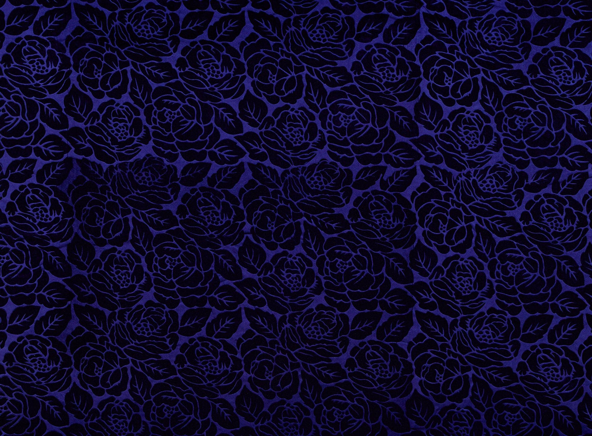 #color_449 BLUE NIGHTS