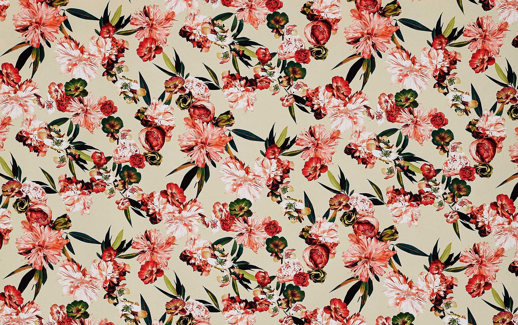 #color_636 ORCHID/FUCH