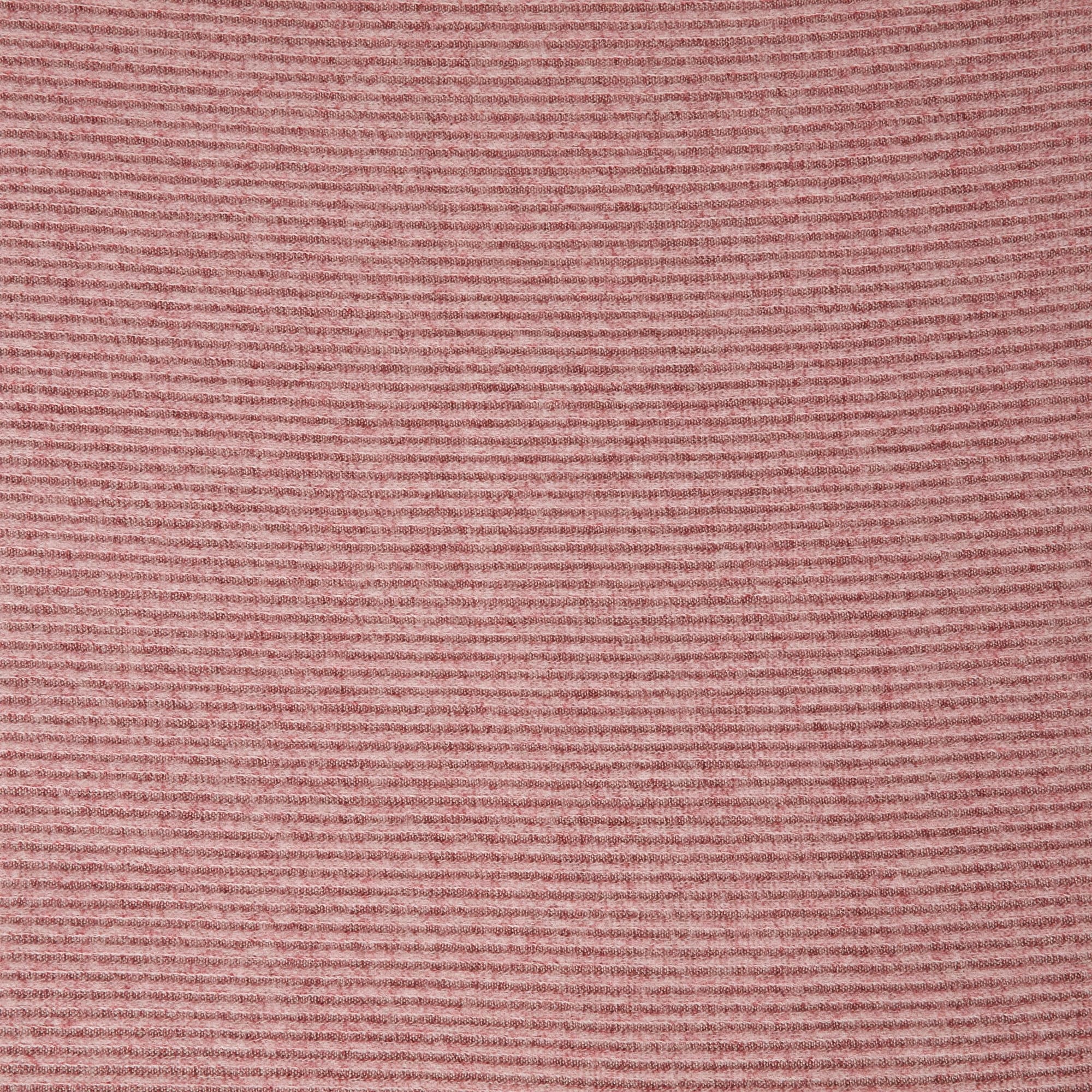 #color_CORDIAL/WHITE