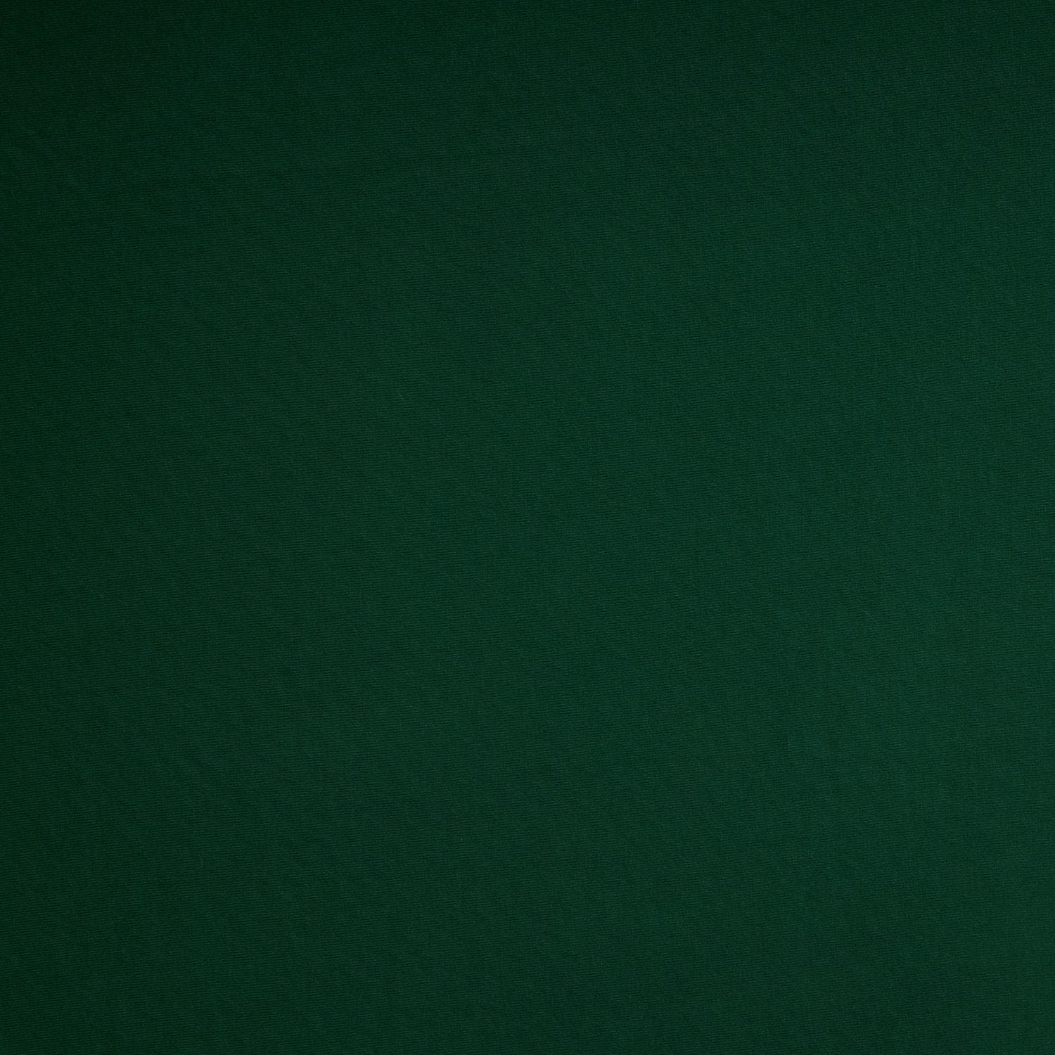 #color_ARRESTING EMERALD