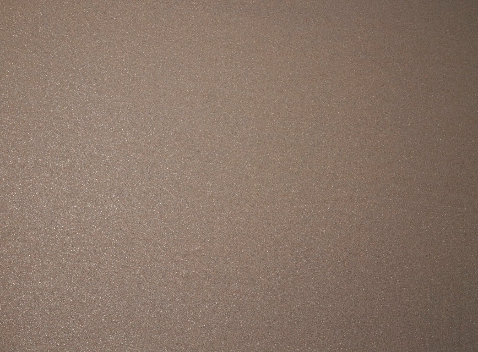 #color_ELEGANT CHAMPAGNE