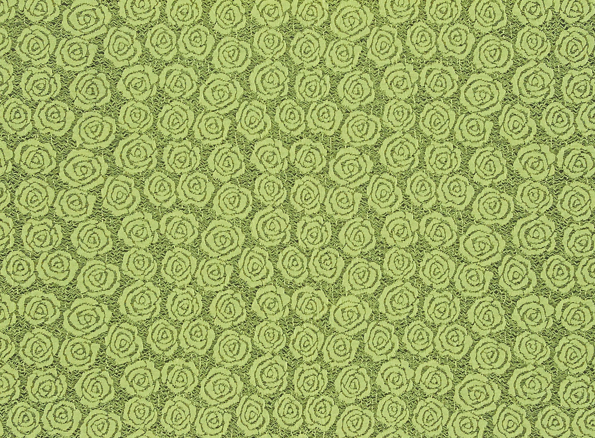 #color_771 ELEC LIME