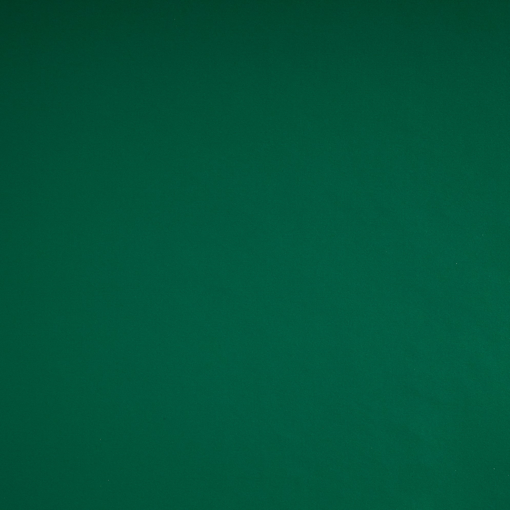 #color_CHERI GREEN