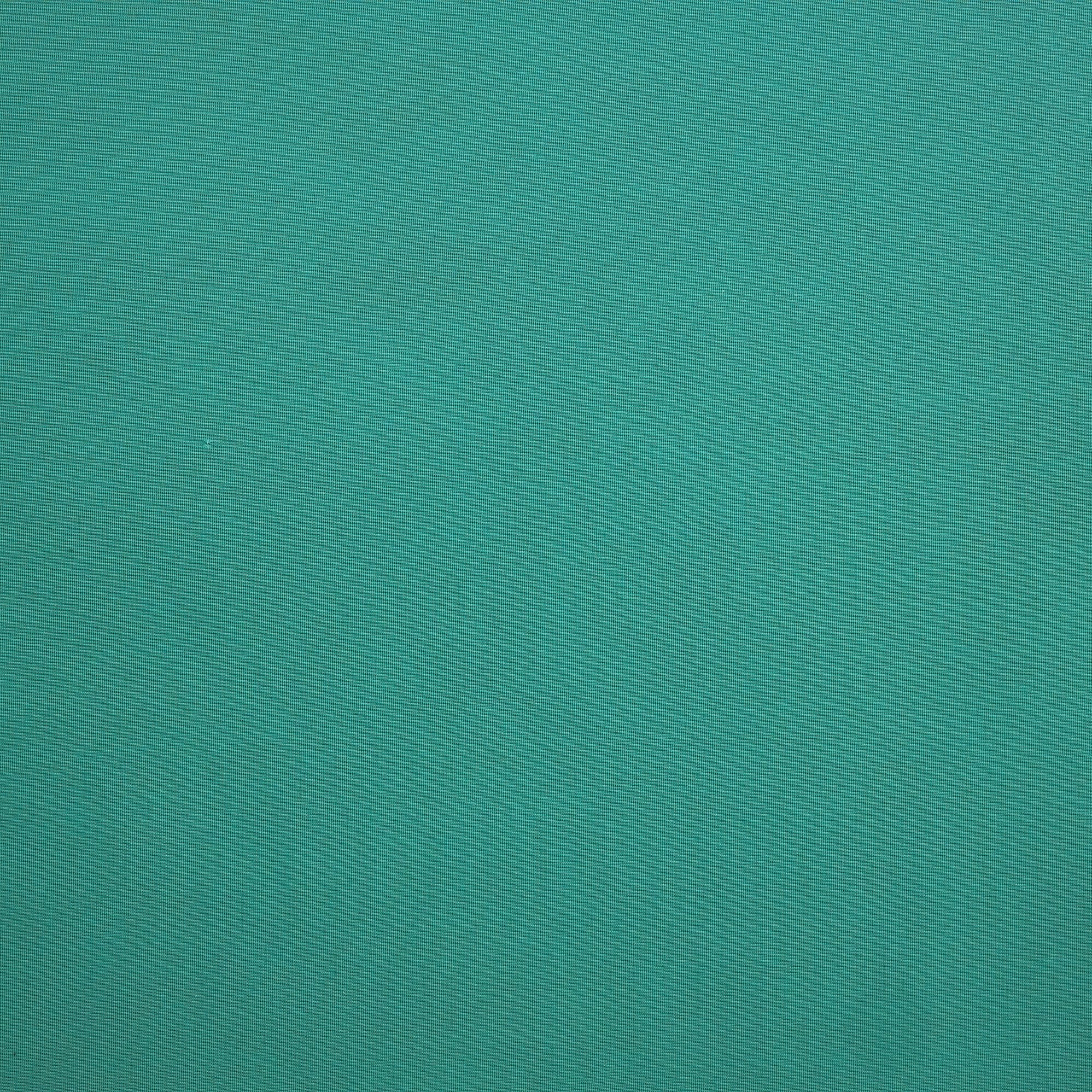 #color_MINT FROST