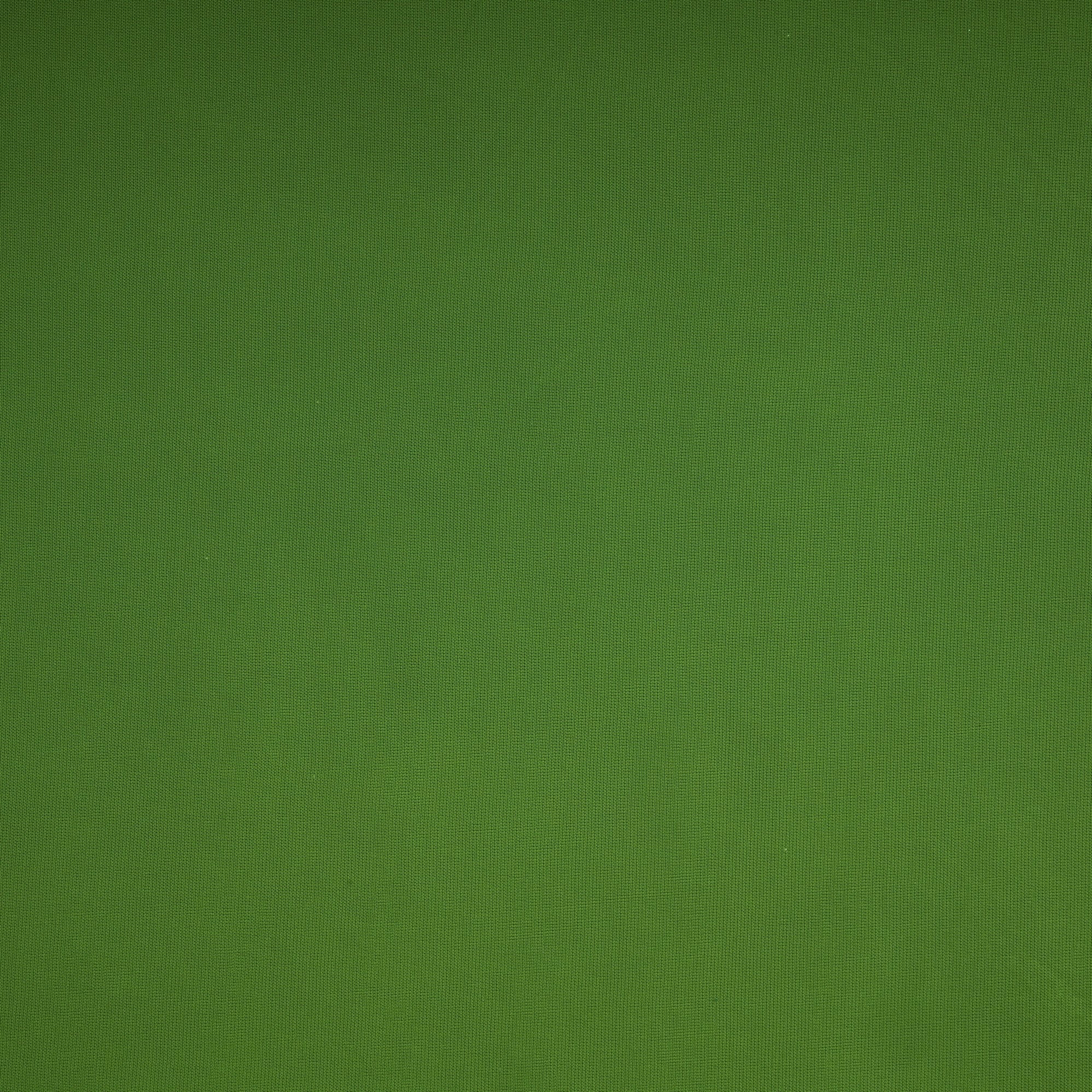 #color_BA CELLERY