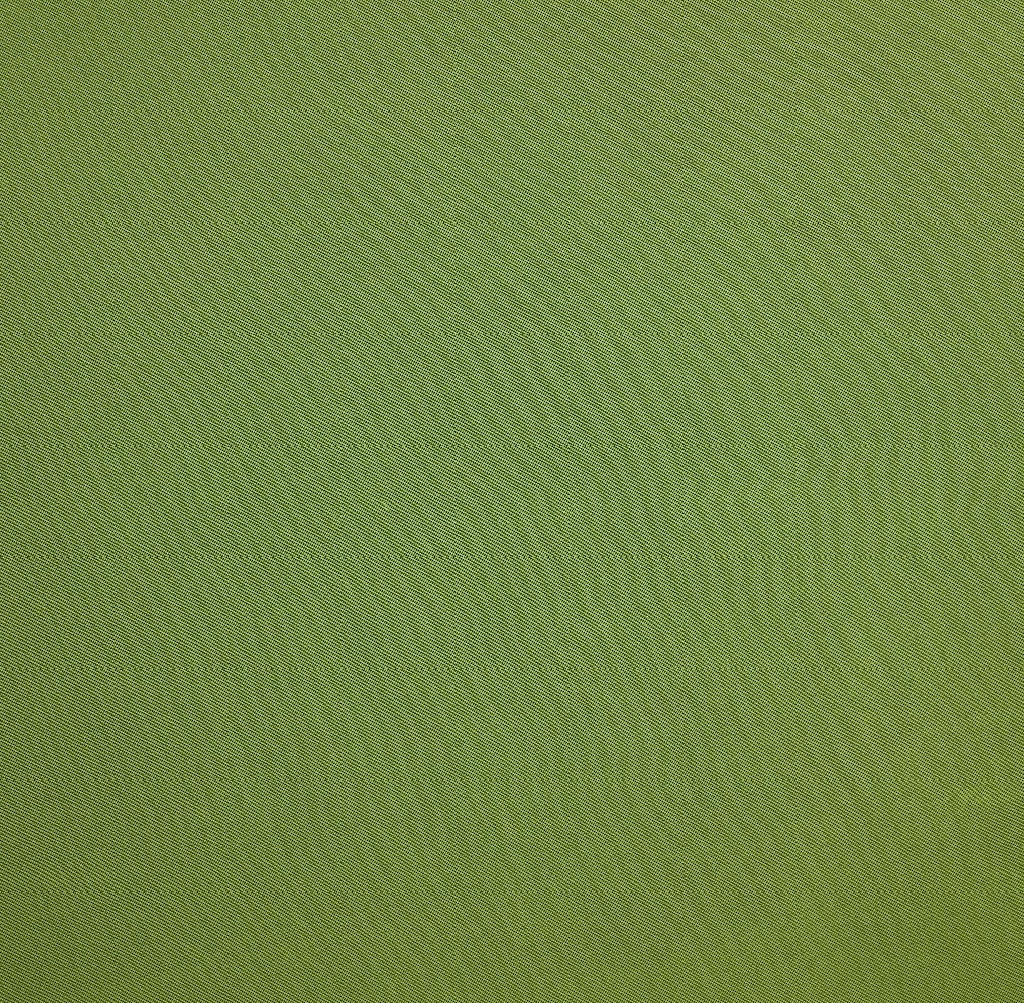 #color_COOL SPRING LIME
