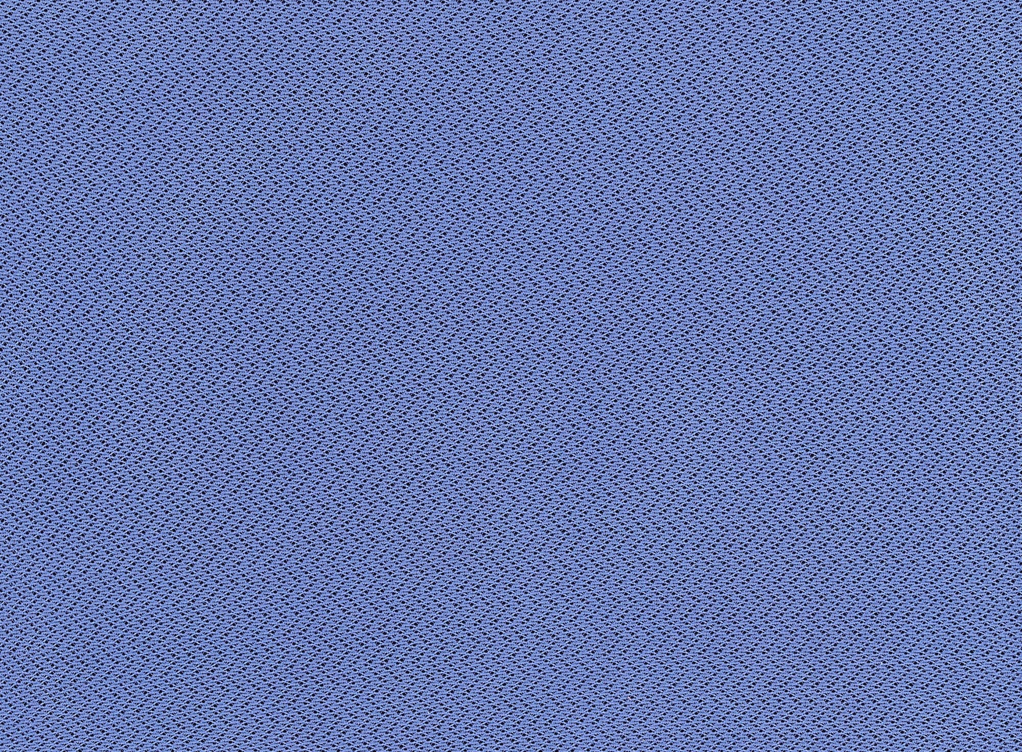 #color_461 BLUEBIRD