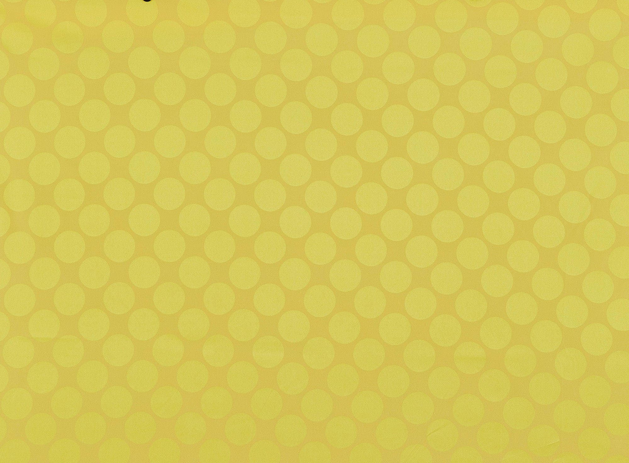 #color_POP YELLOW
