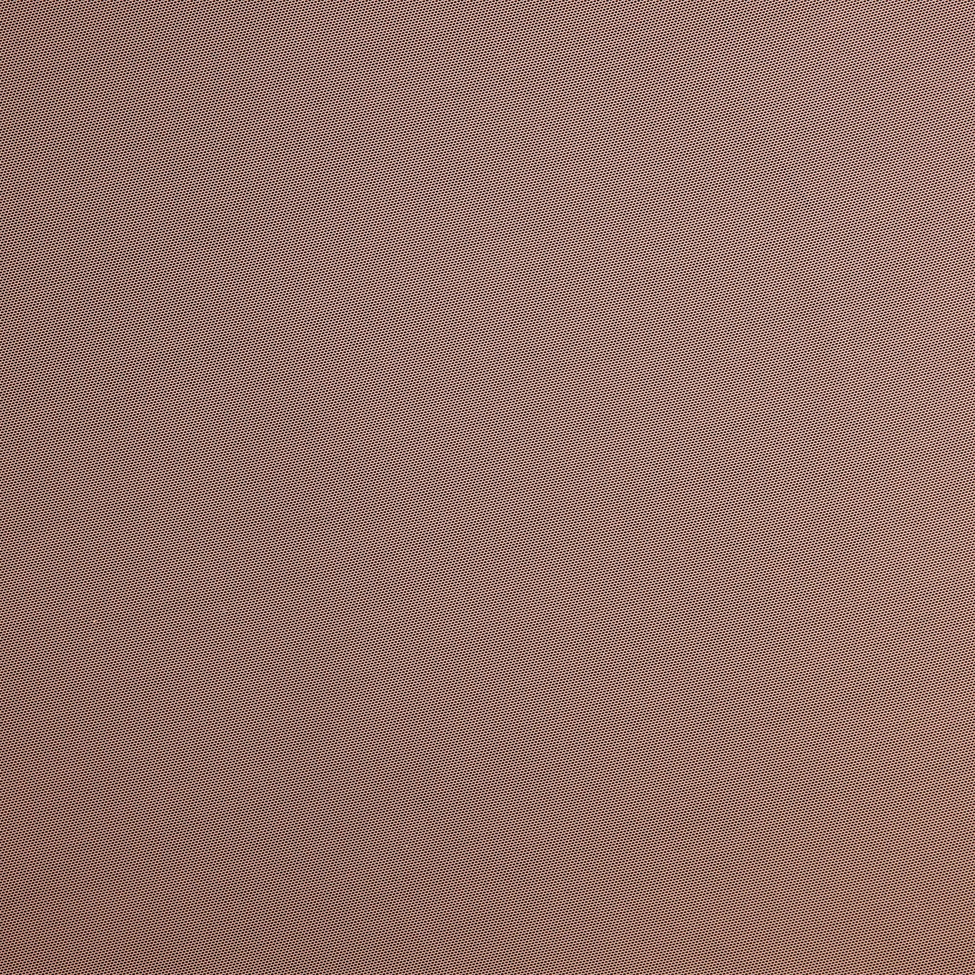 #color_LUSCIOUS APRICOT