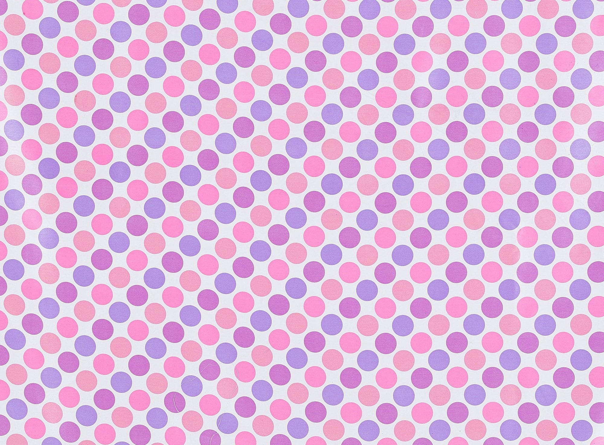 #color_LILAC CONFETTI