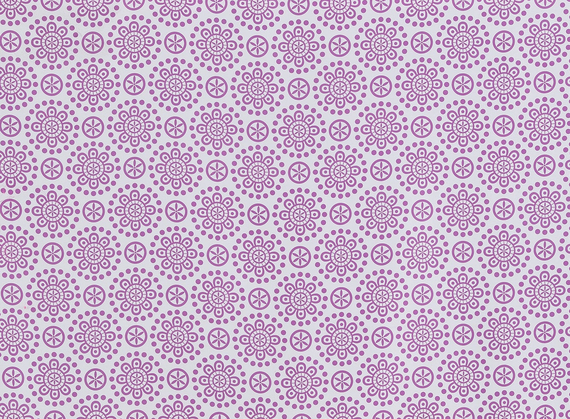 #color_ORCHID/WHITE