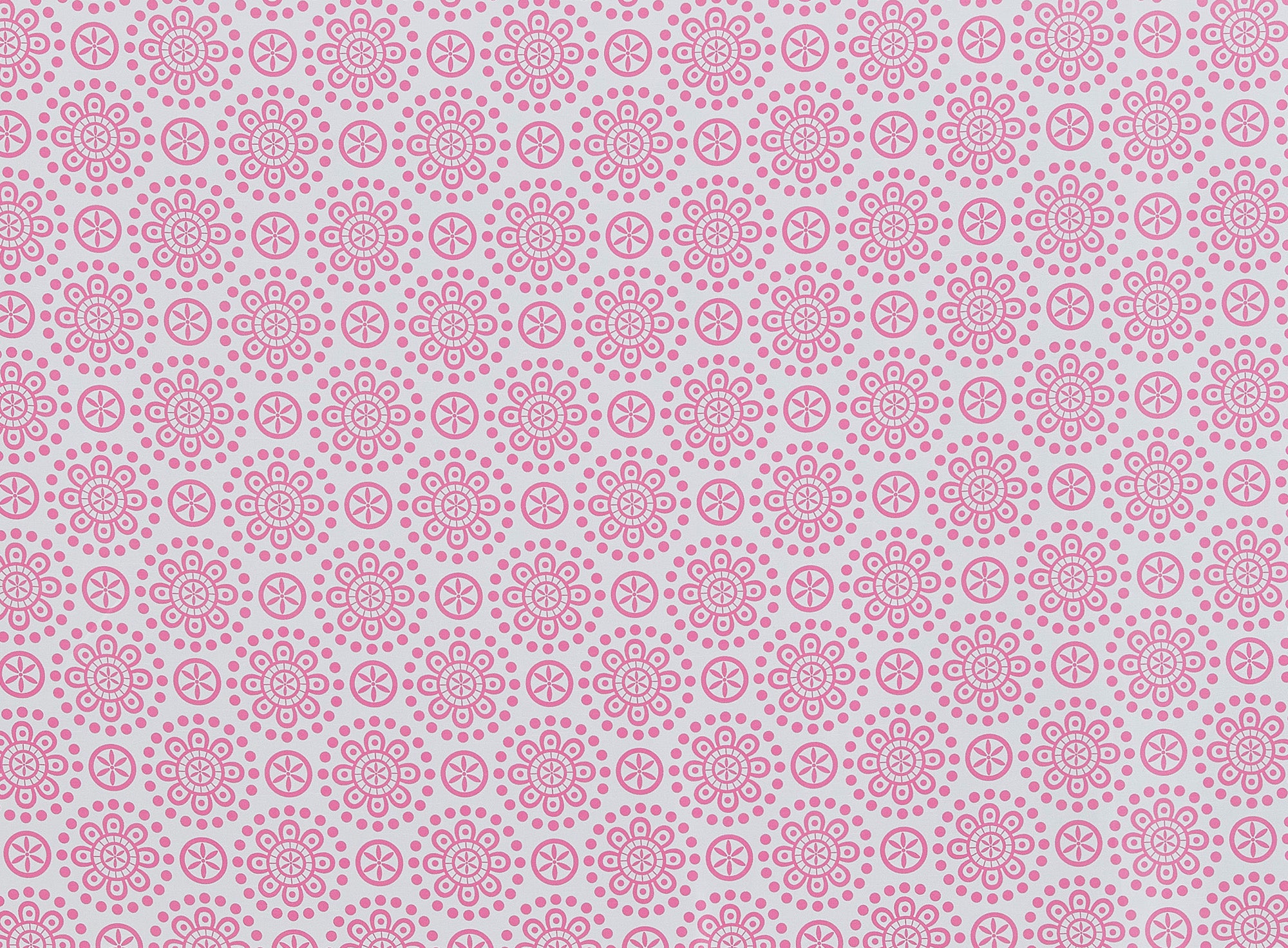 #color_PINK/WHITE