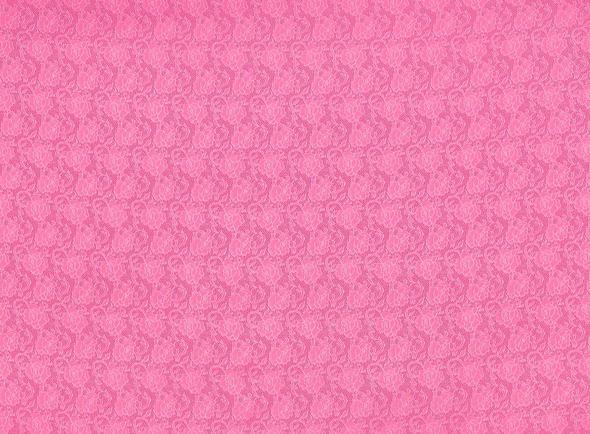 #color_VICKY CORAL
