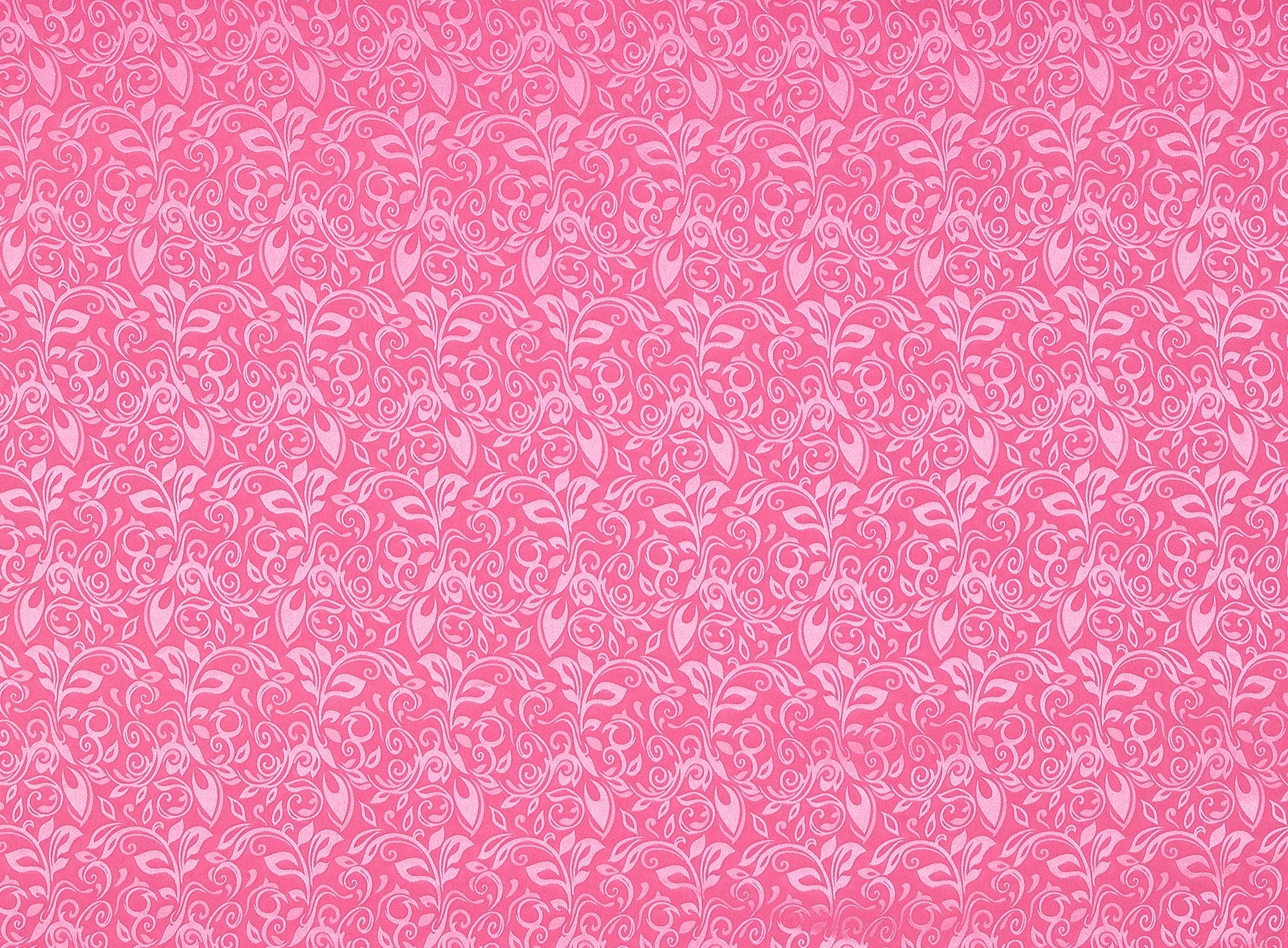 #color_VICKY CORAL