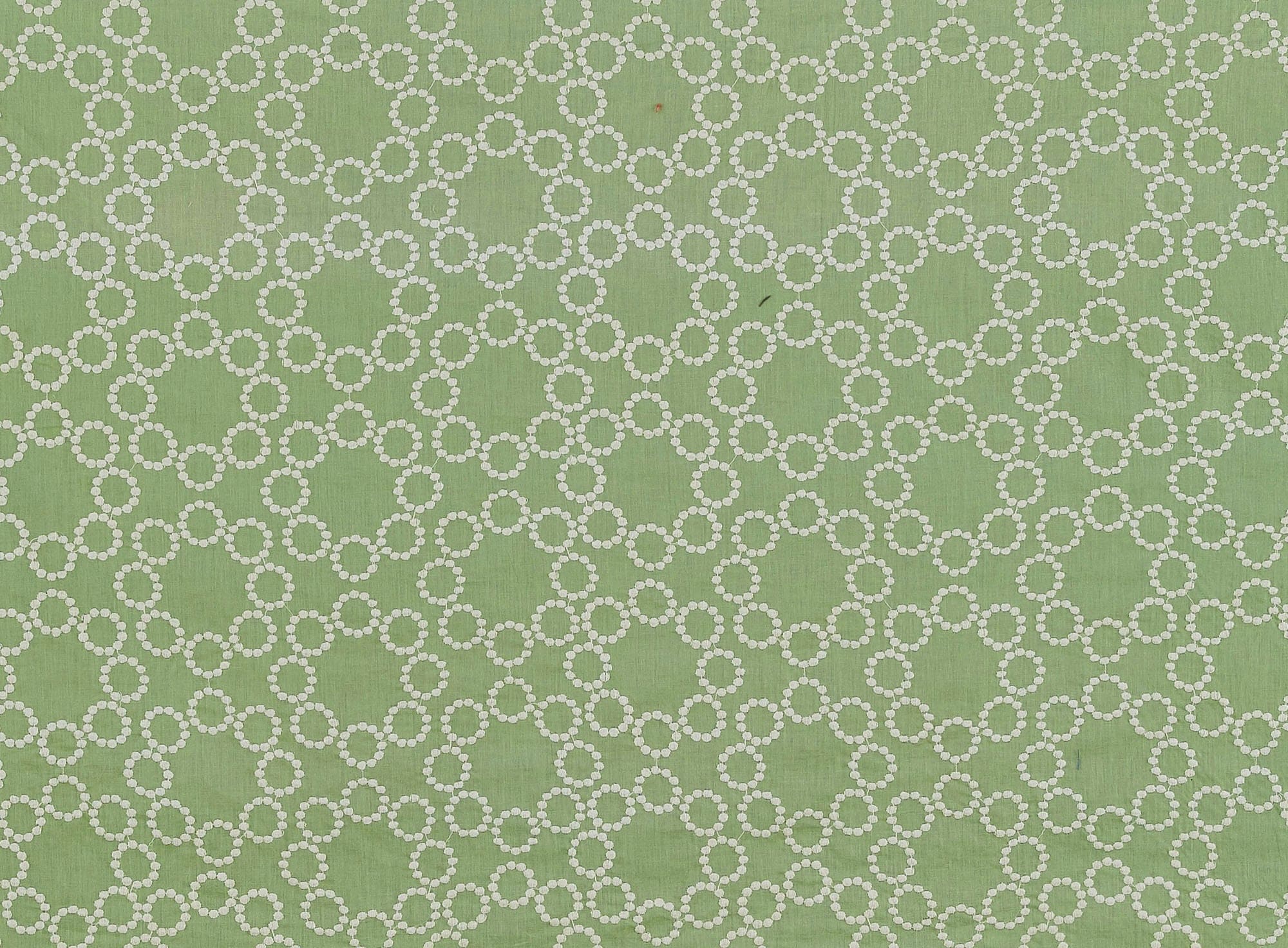 #color_YUMMY LIME