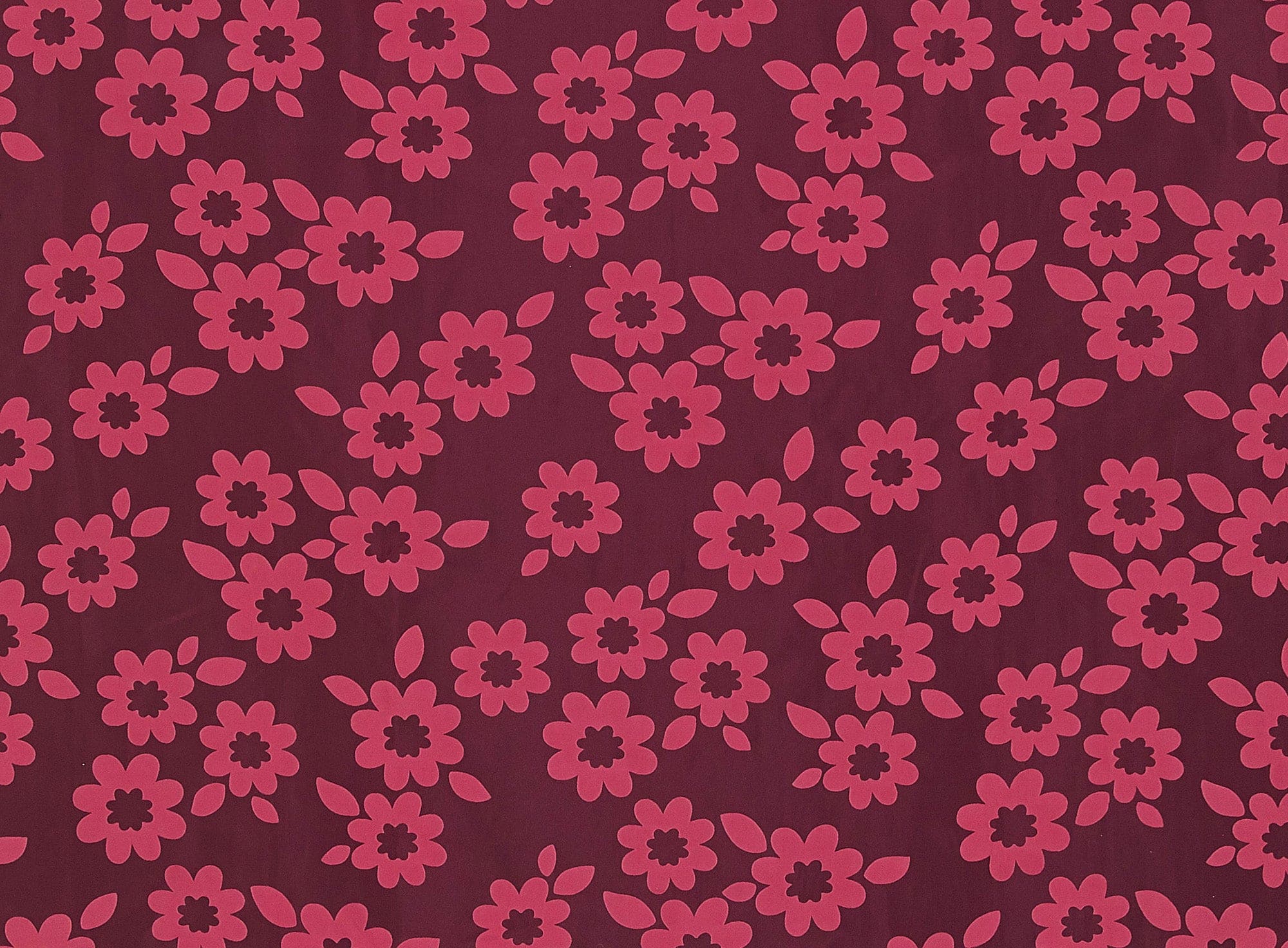 #color_CORAL PUNCH
