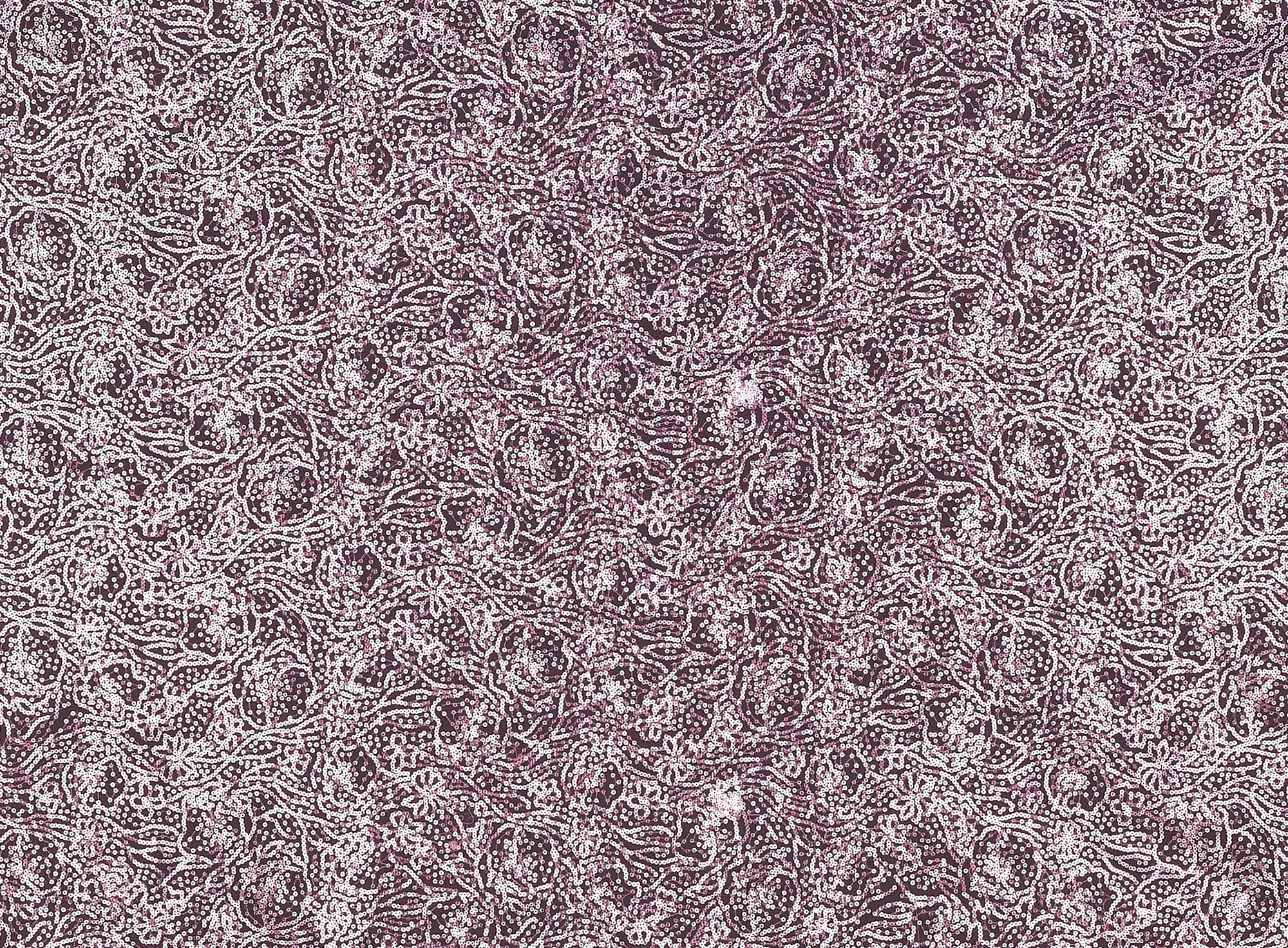 #color_ROSE