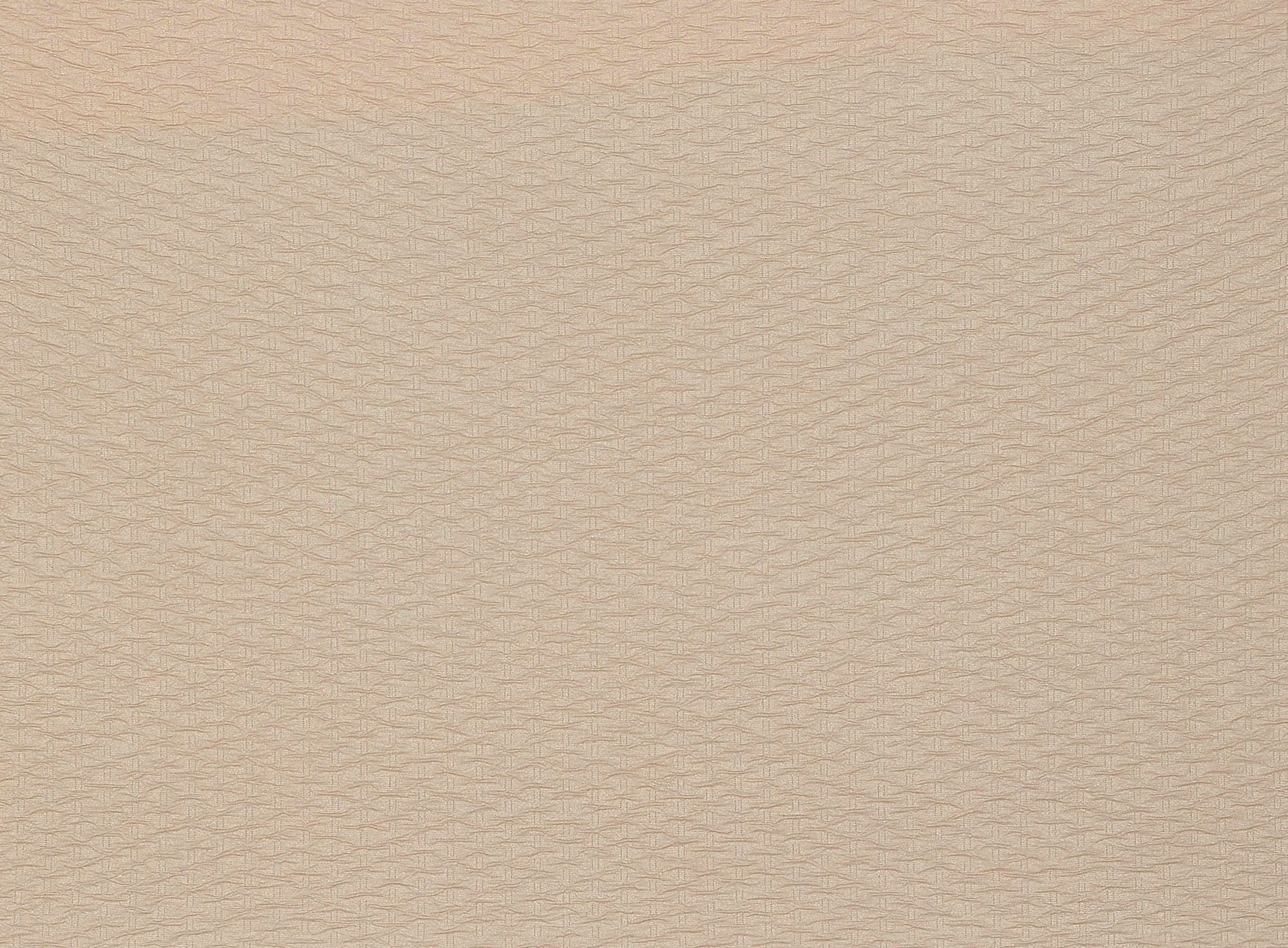 #color_GOLD SHELL/G