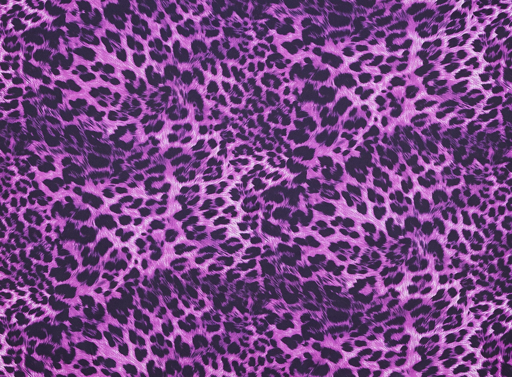 #color_GRAPE/BLACK