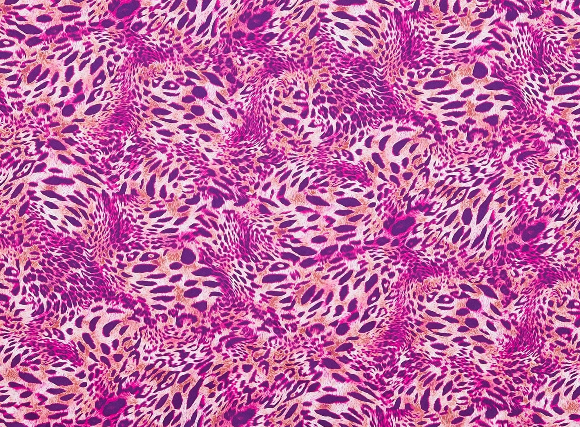 #color_FUCHSIA/CORAL