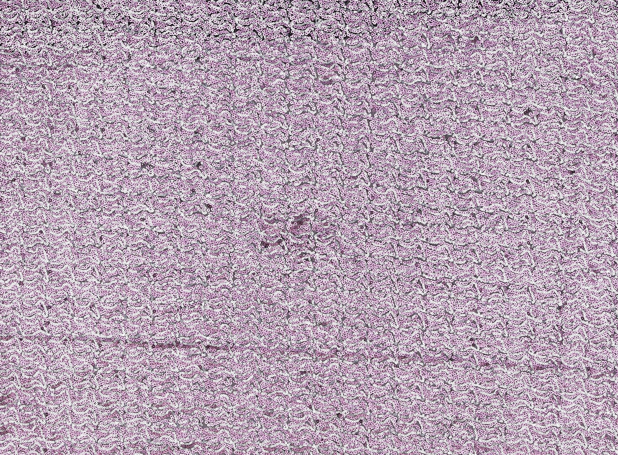 #color_BLK/SILVER/PINK