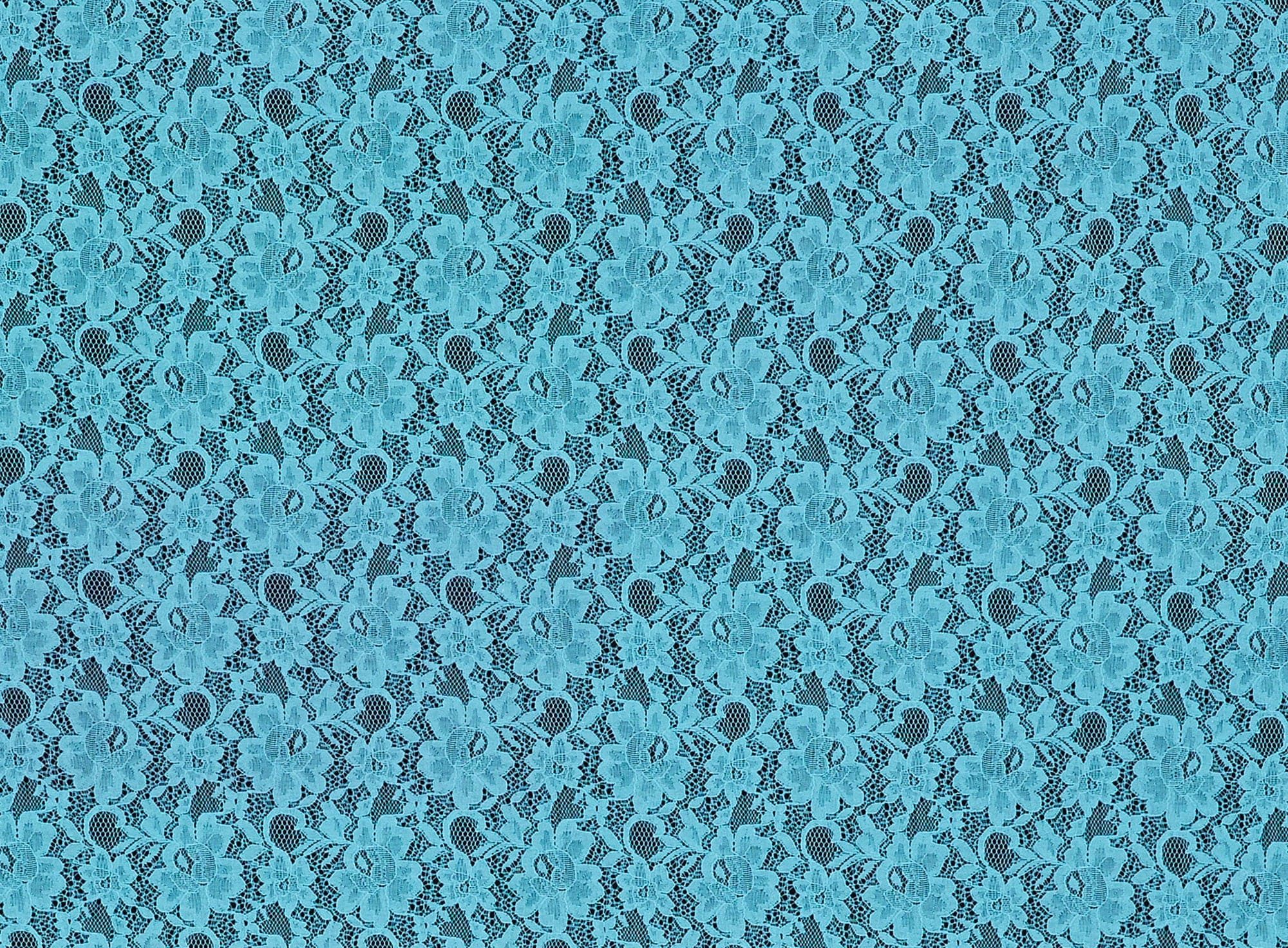 #color_BLUEBERRY