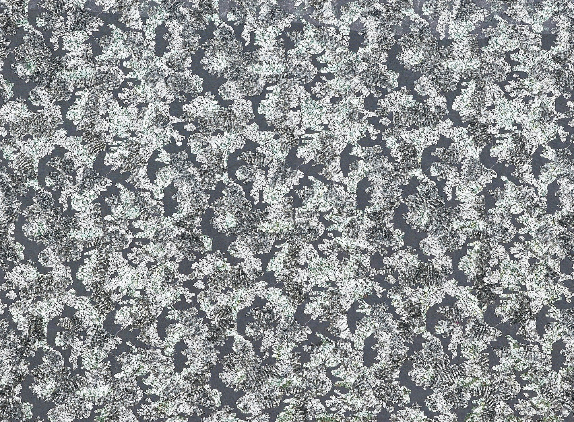 #color_SILVER LADY