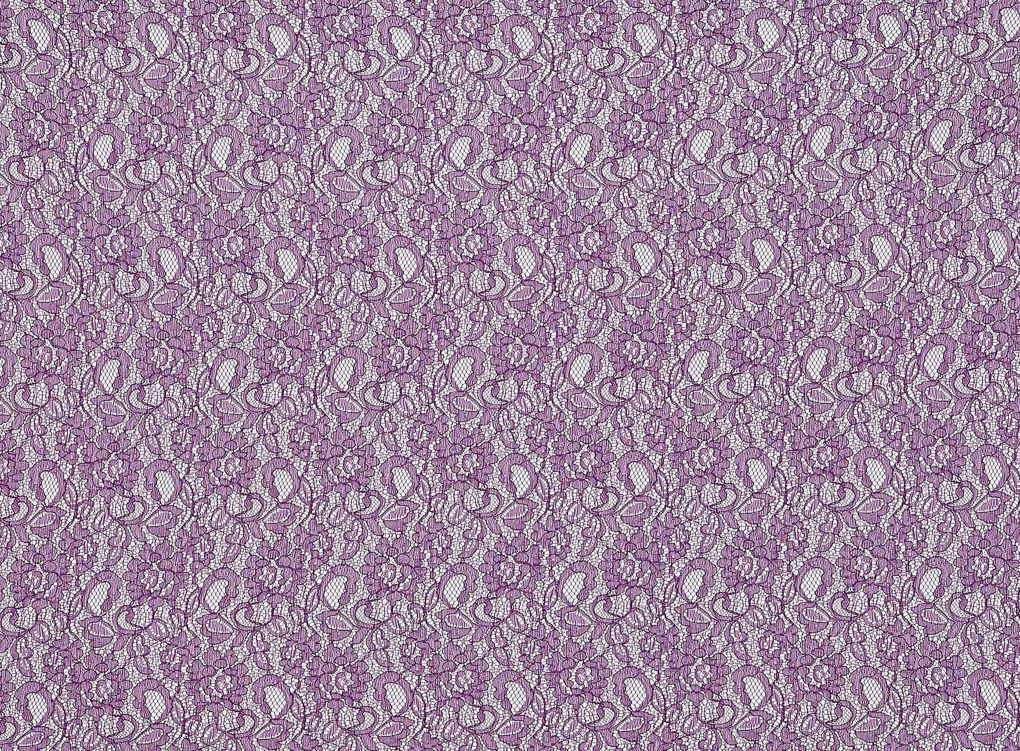 #color_PLUM FRENZY