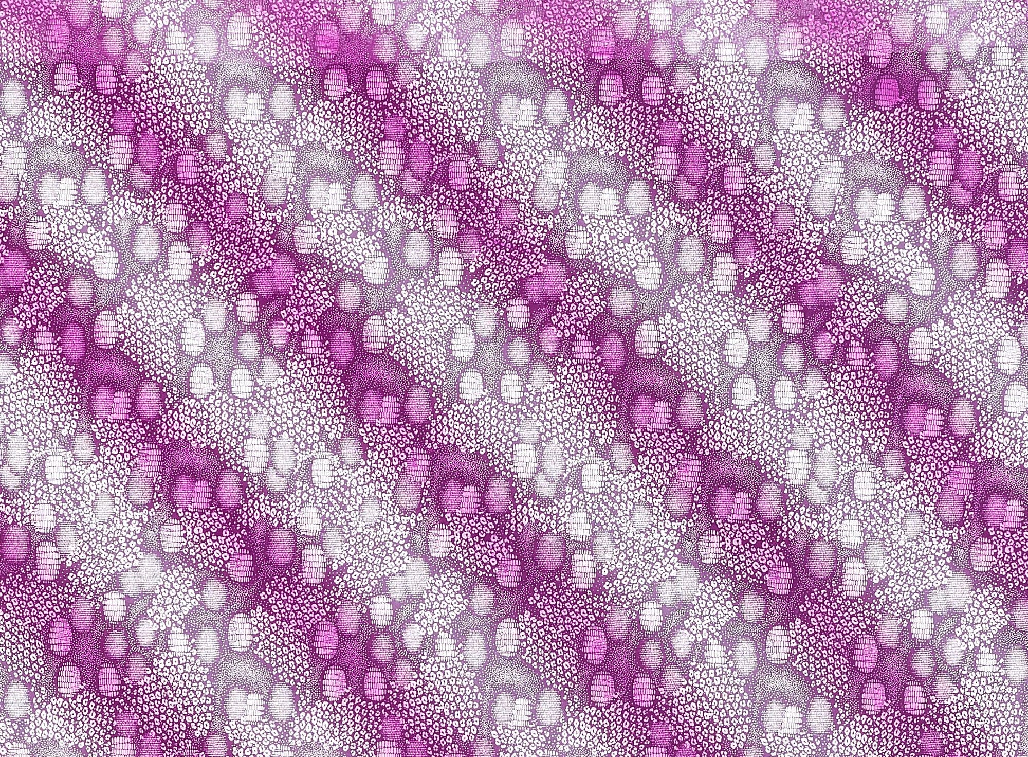 #color_FUCHSIA/SILVER