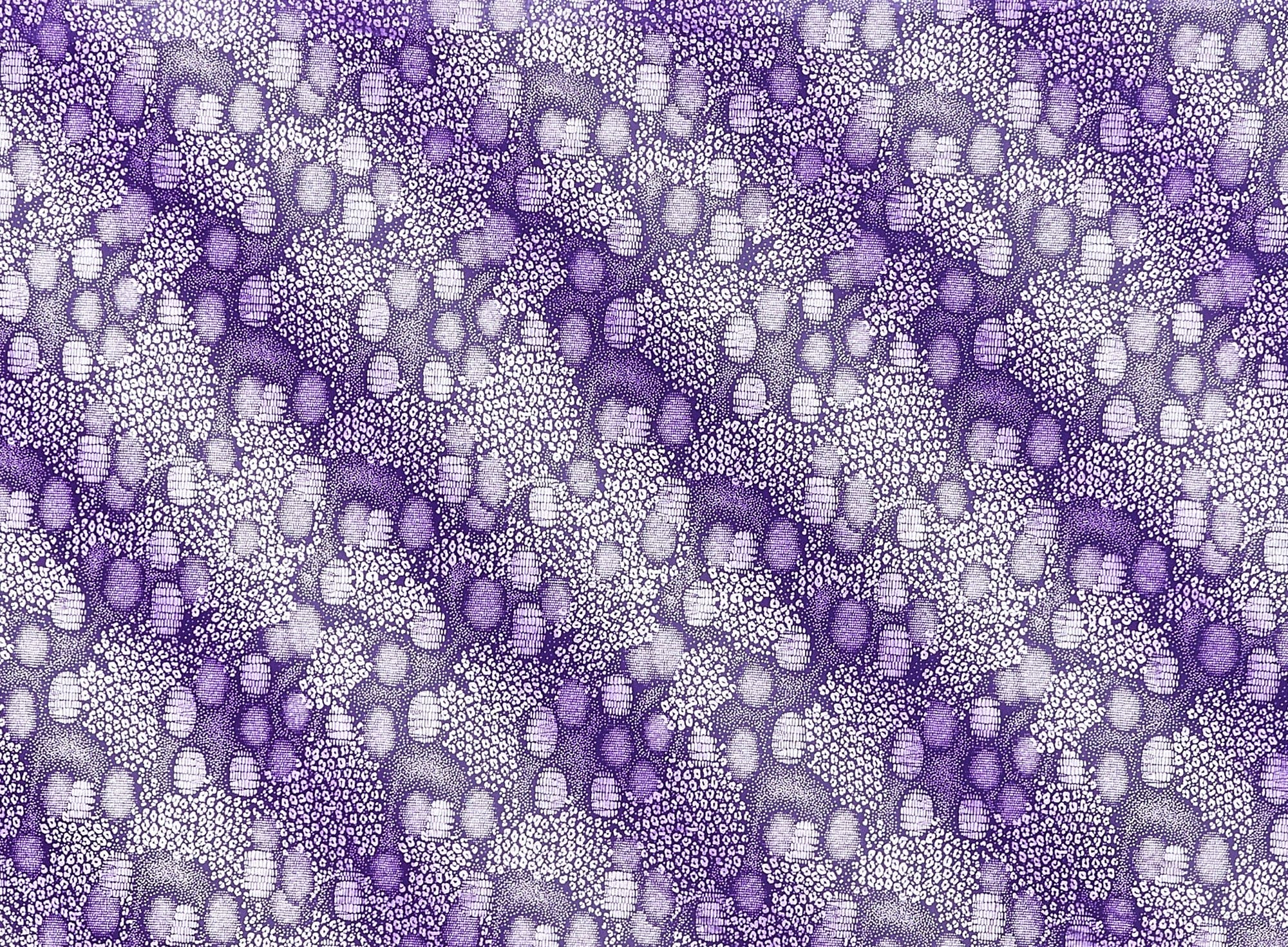 #color_PURPLE/SILVER