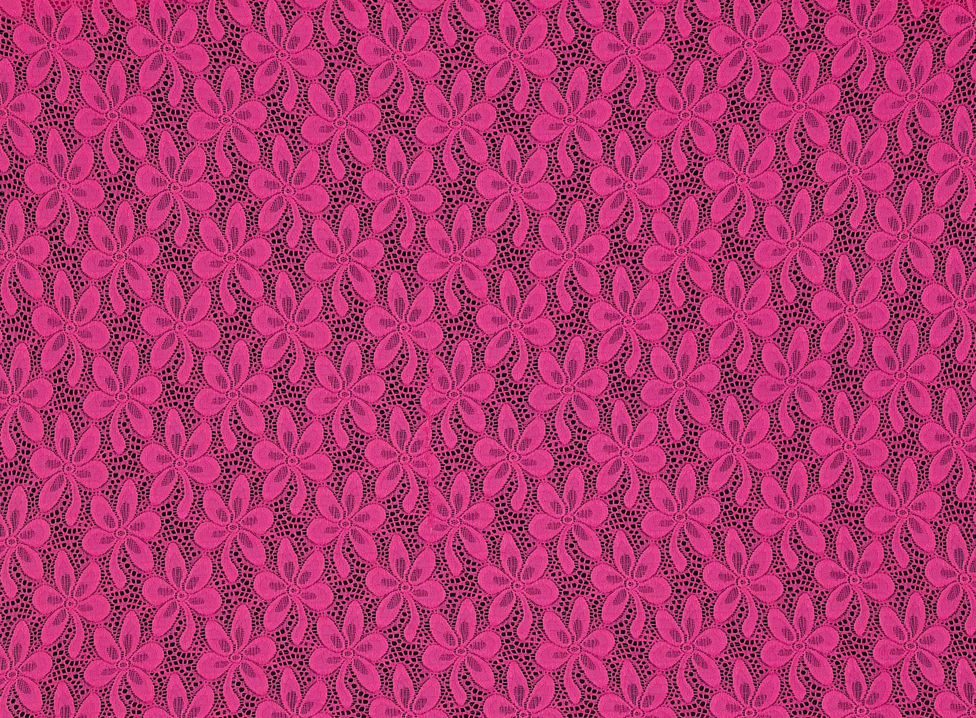 #color_PINK PETAL