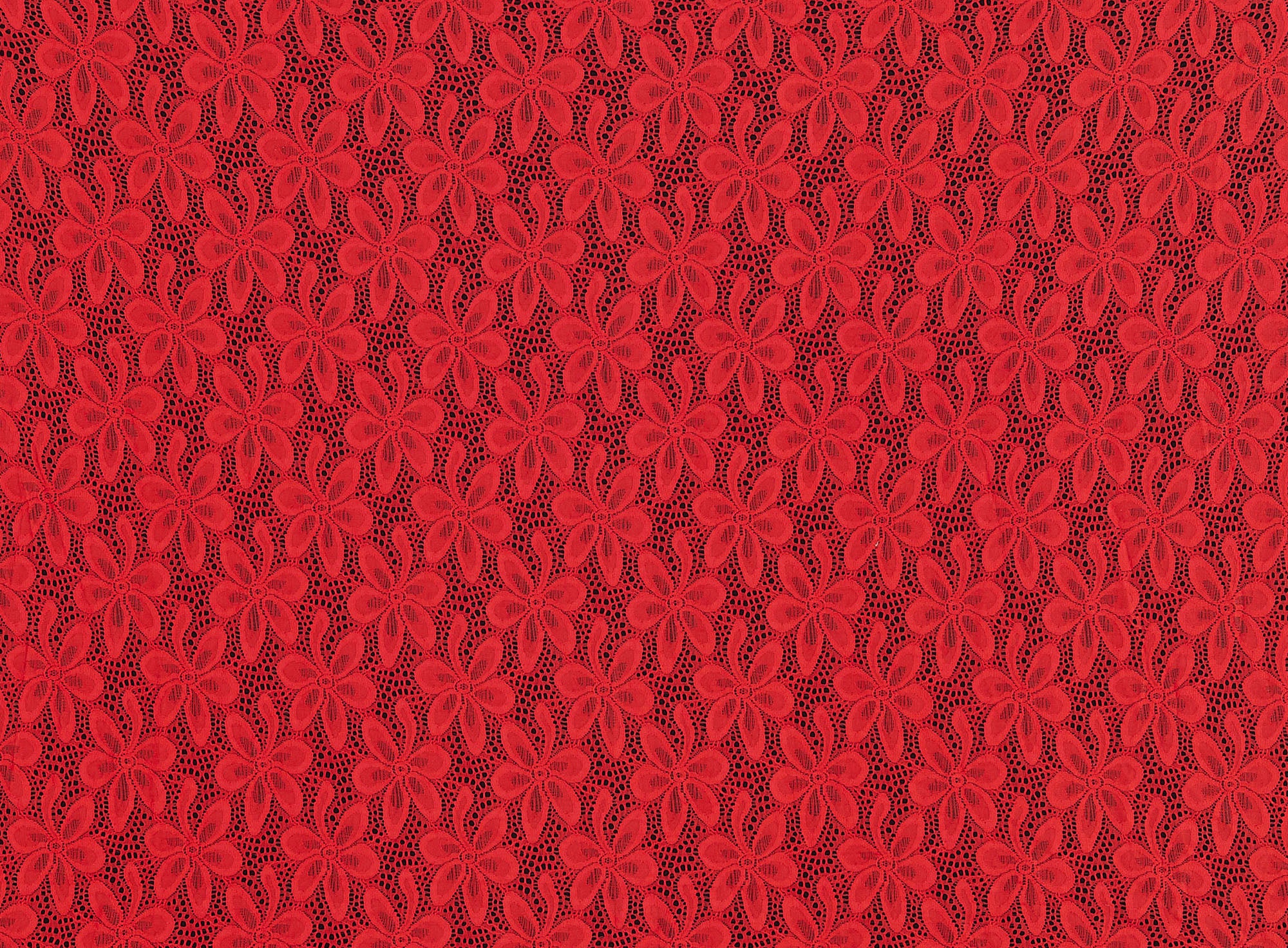 #color_POPPY ORANGE