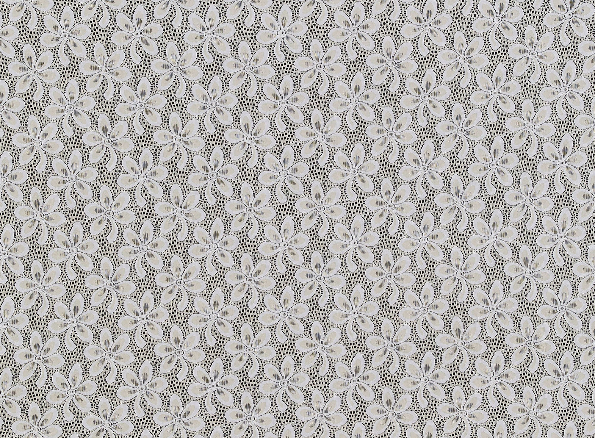 #color_SNOW IVORY