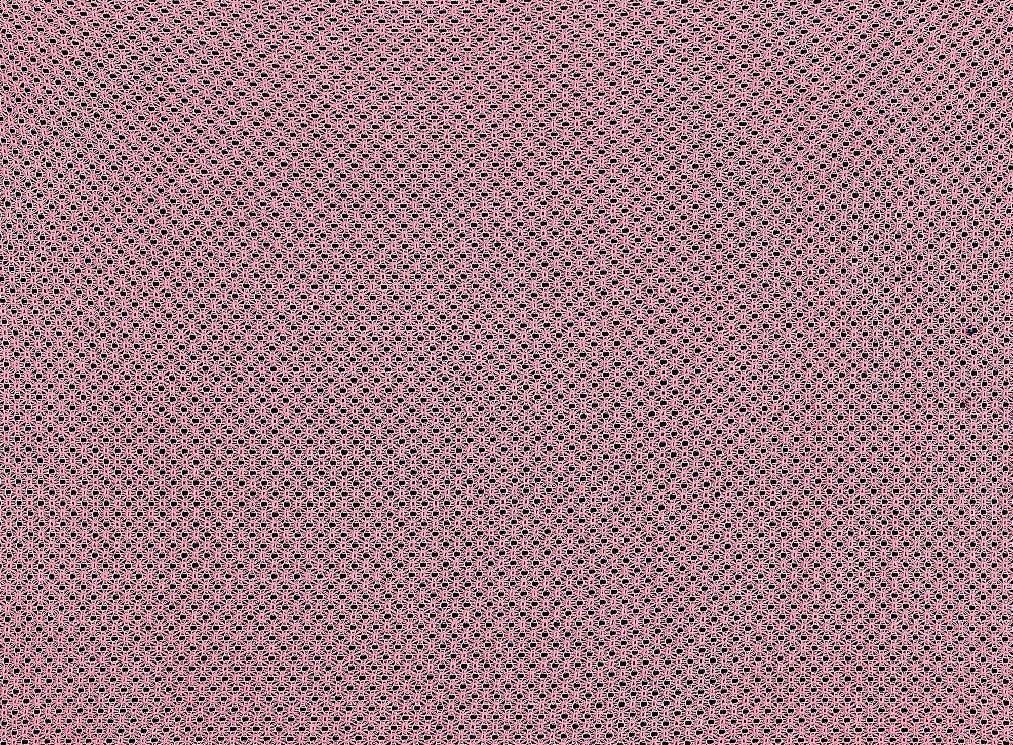 #color_CORAL MANIA