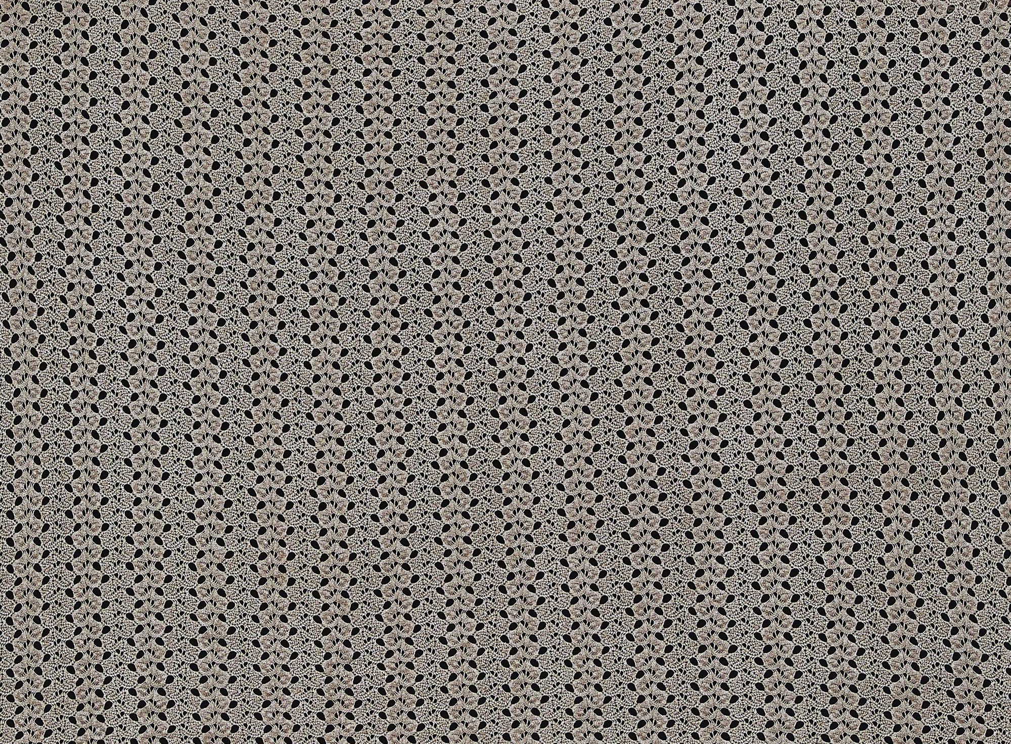 #color_TAUPE/SILVER