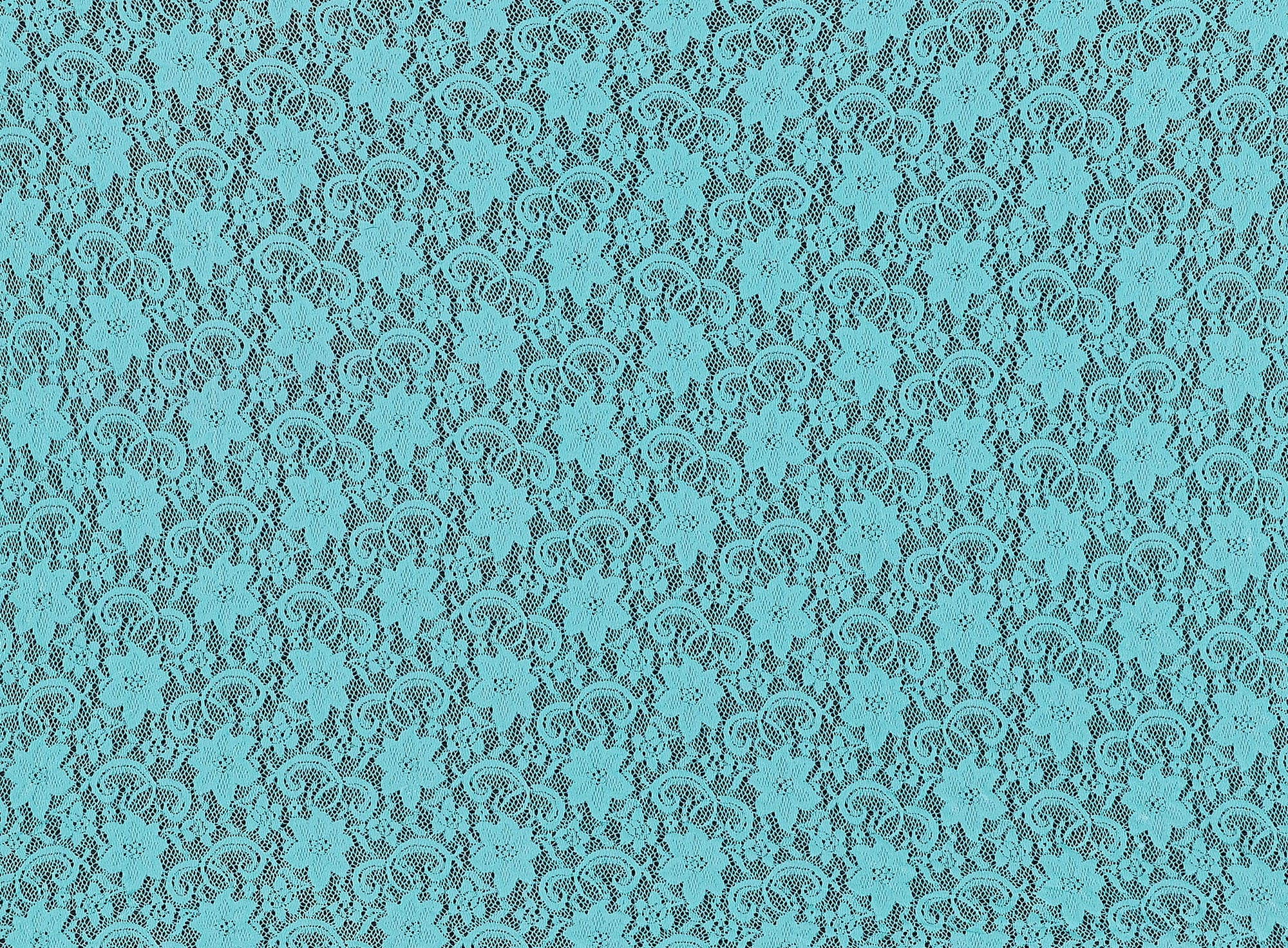 #color_MINT PUNCH