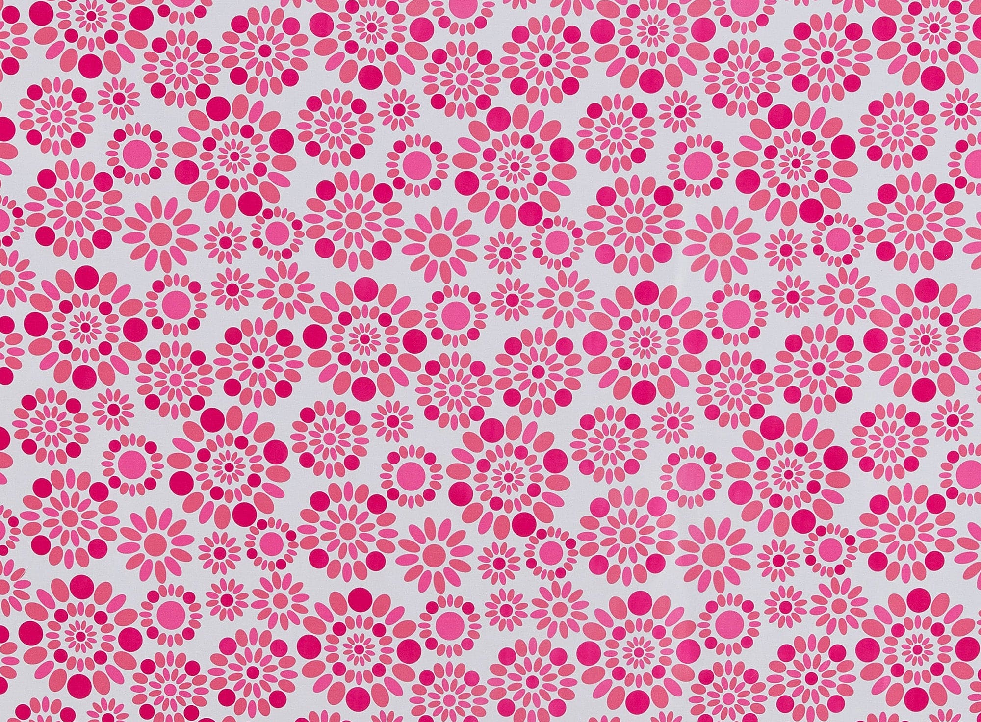 #color_CORAL/FUCHSIA