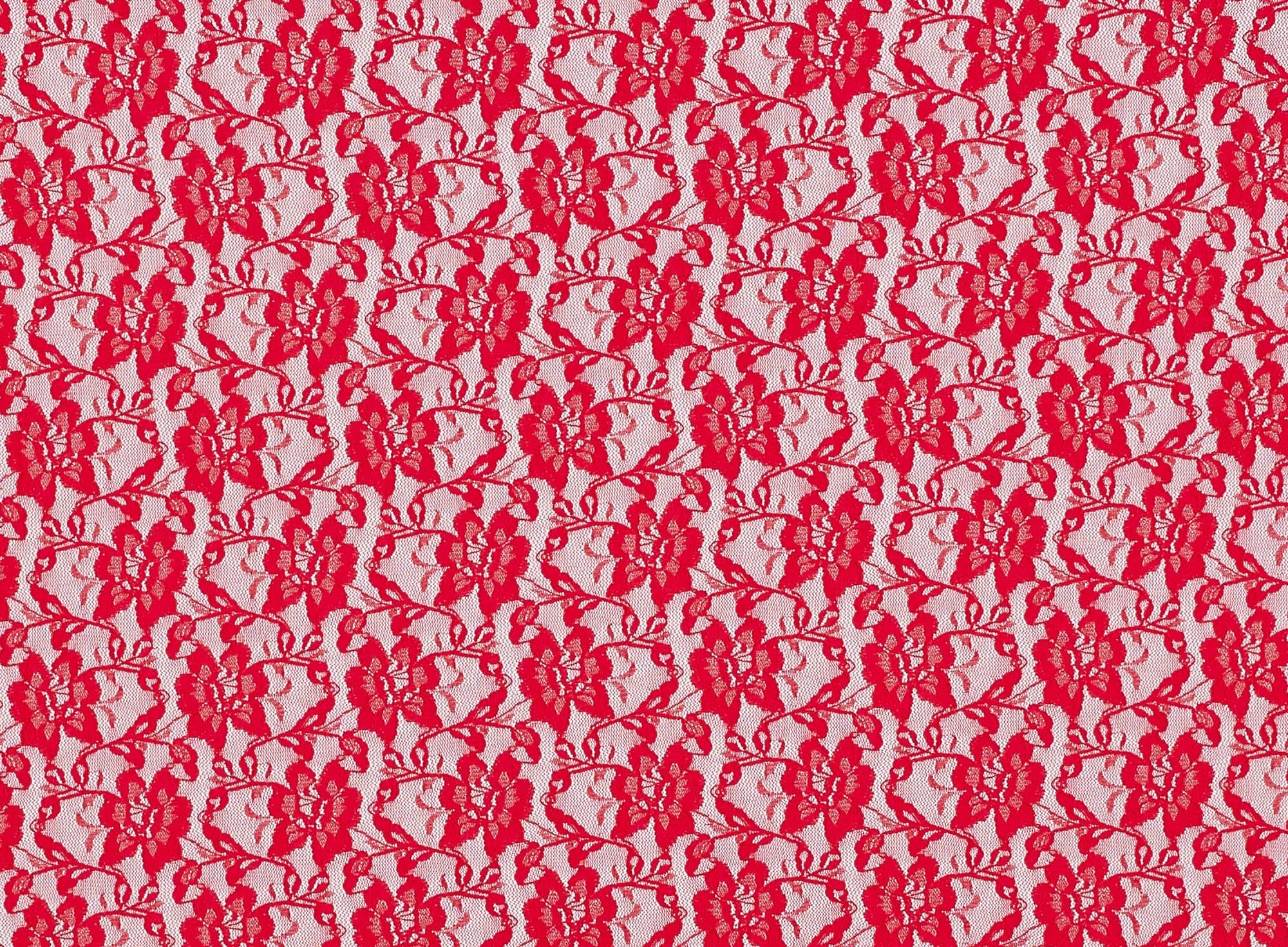 #color_POP CHERRY