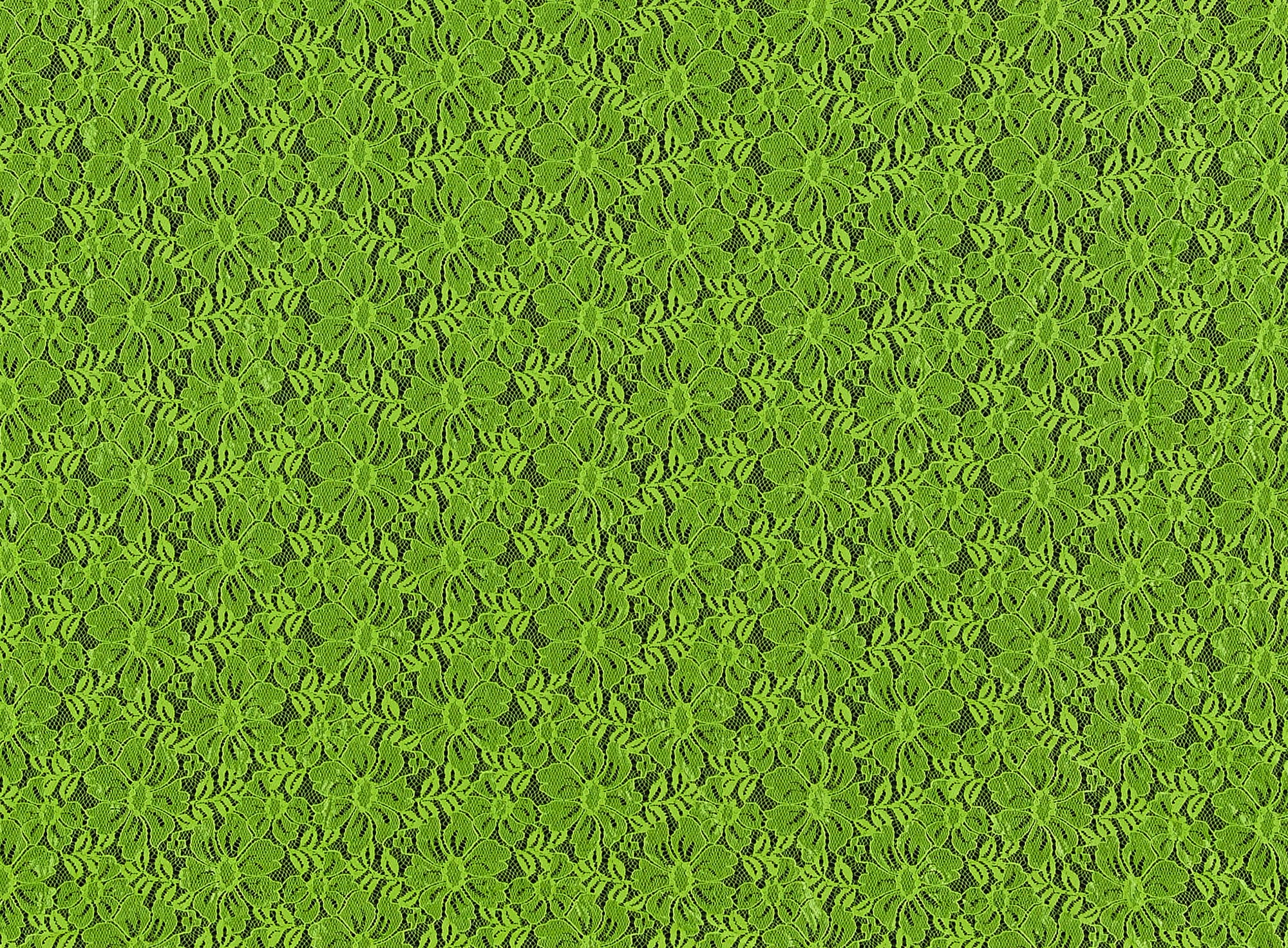 #color_NEON LIME