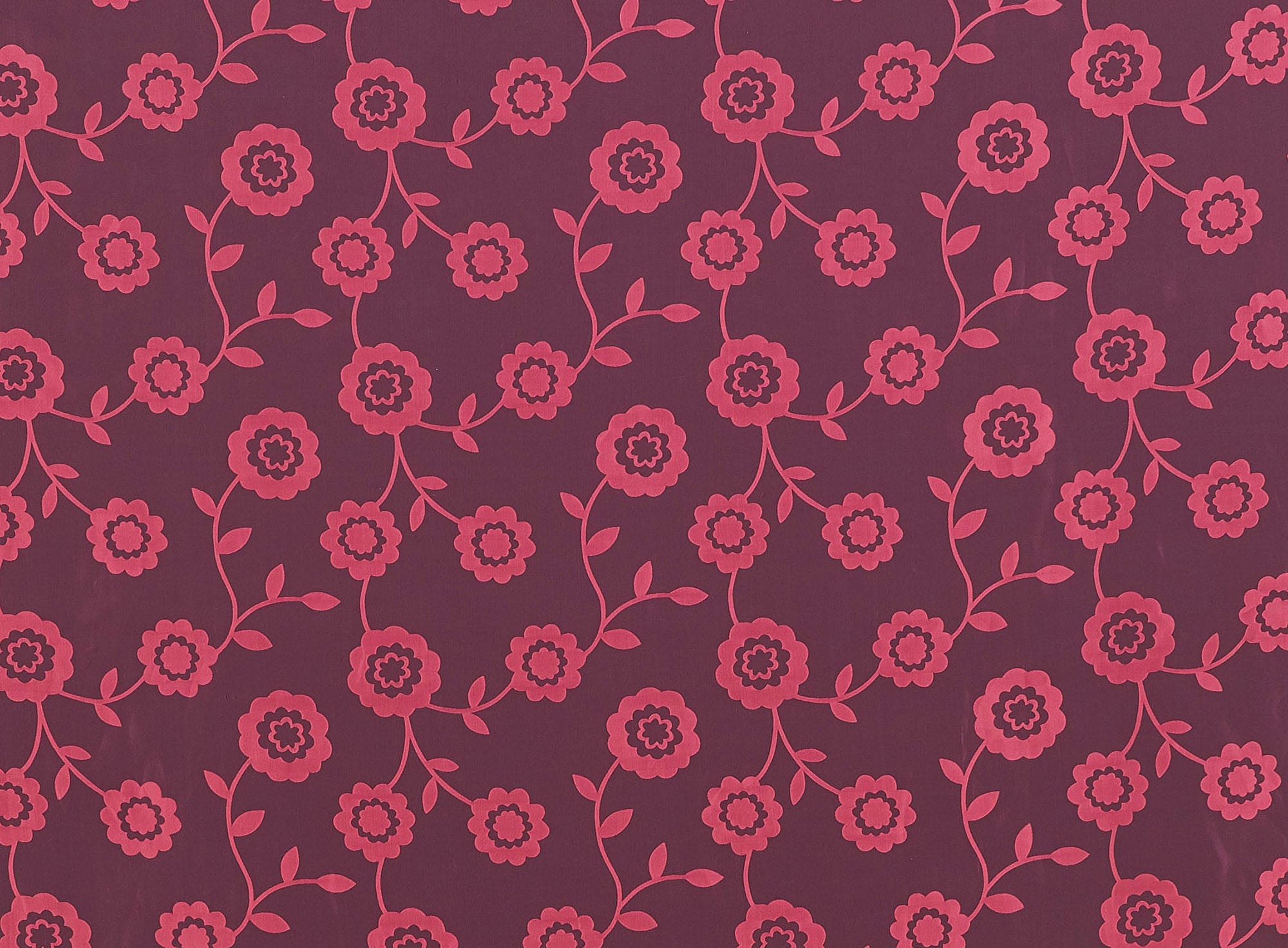 #color_CORAL PUNCH