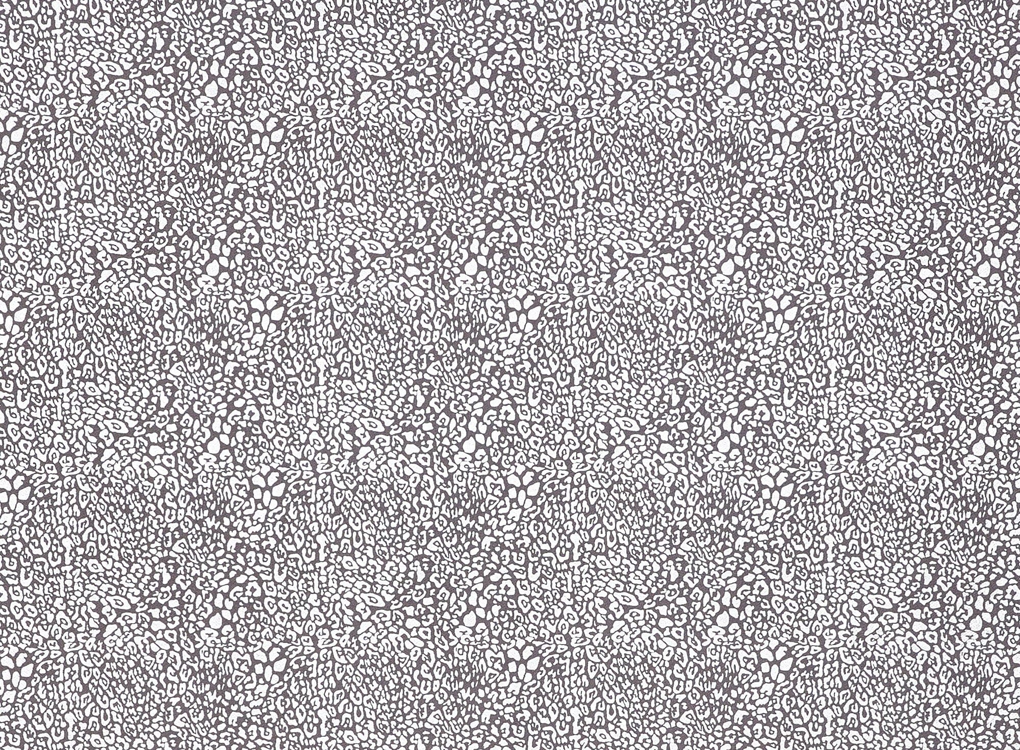 #color_CHARCOAL/SILVER