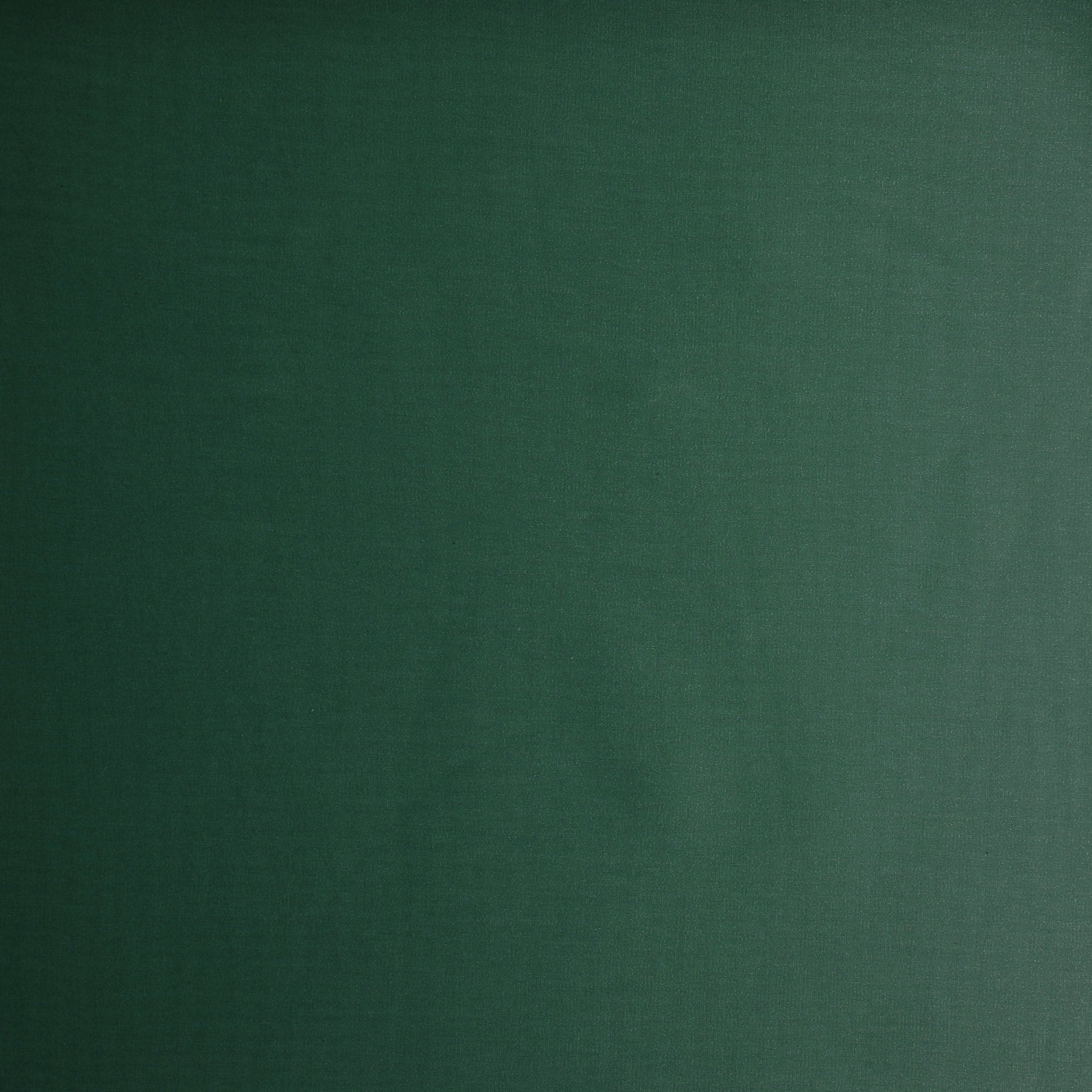 #color_GREEN SHINE